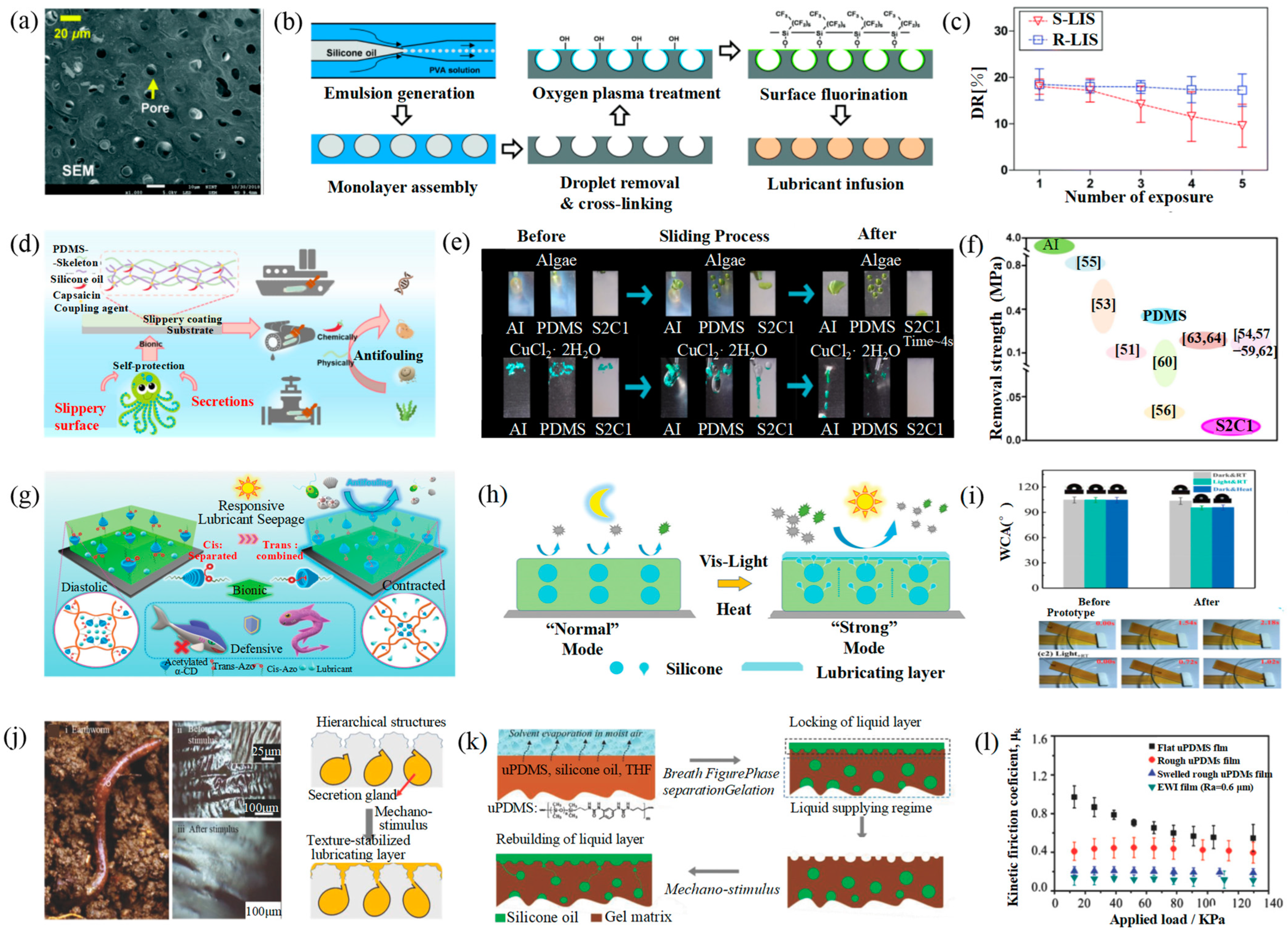 Lubricants 12 00377 g010