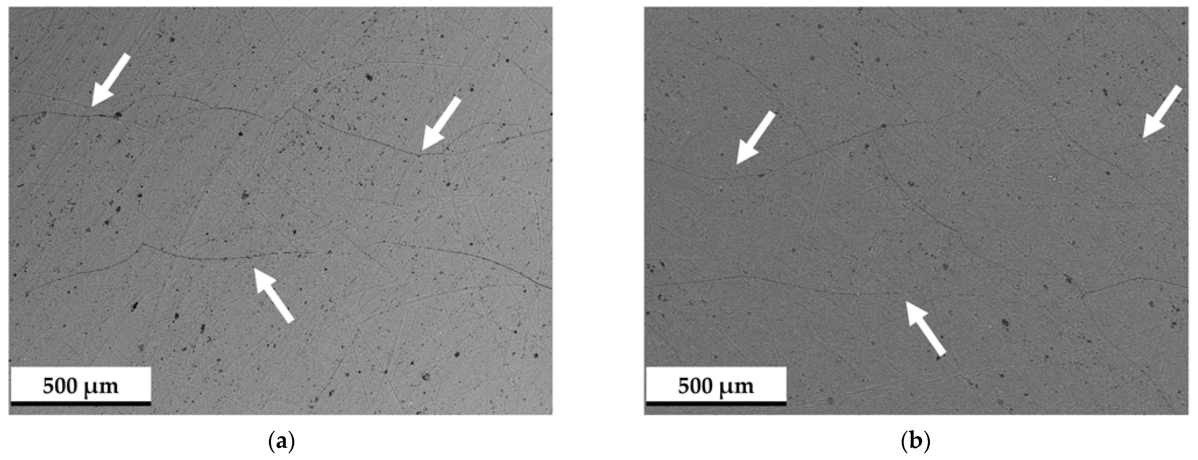 Lubricants 12 00383 g005