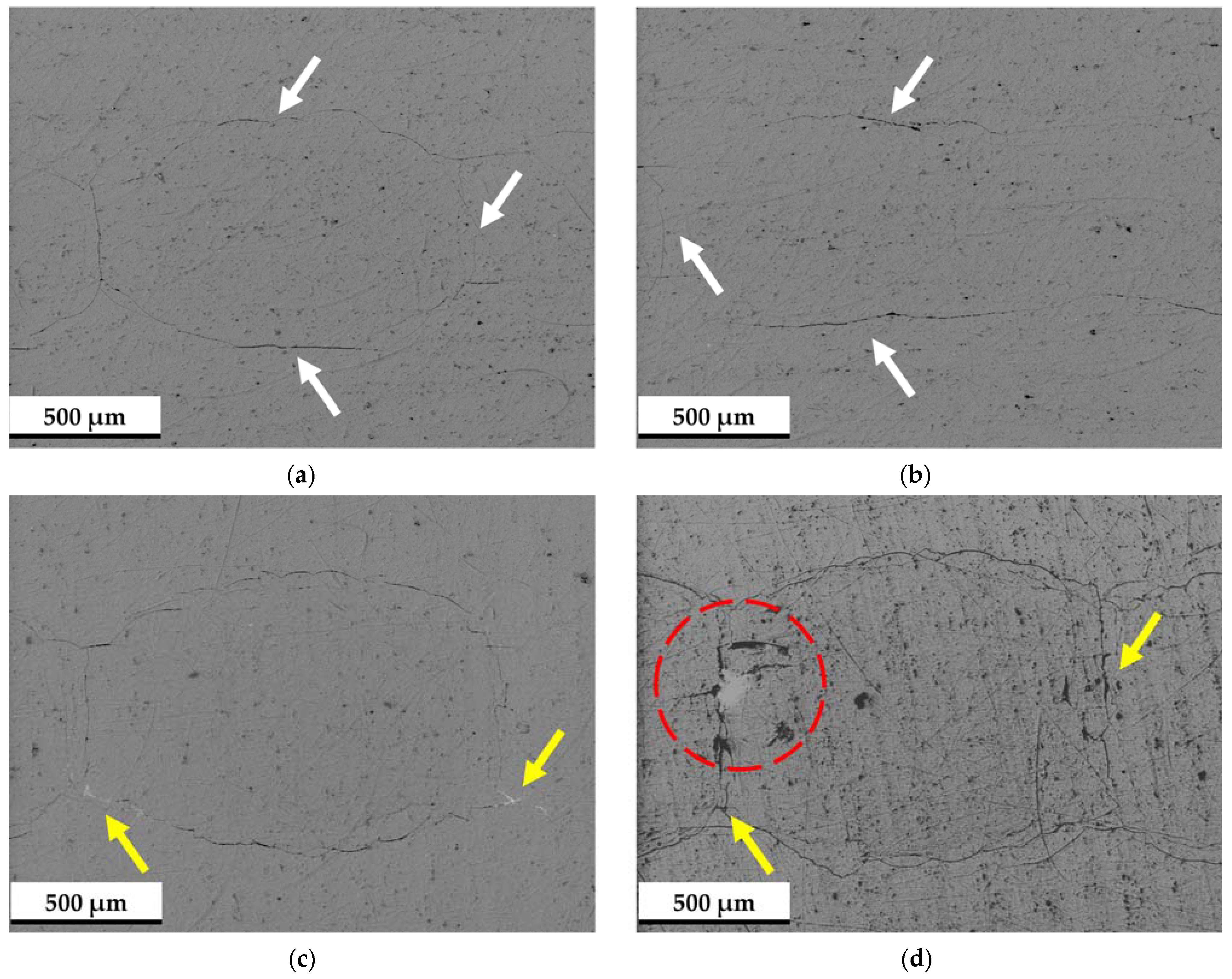 Lubricants 12 00383 g006