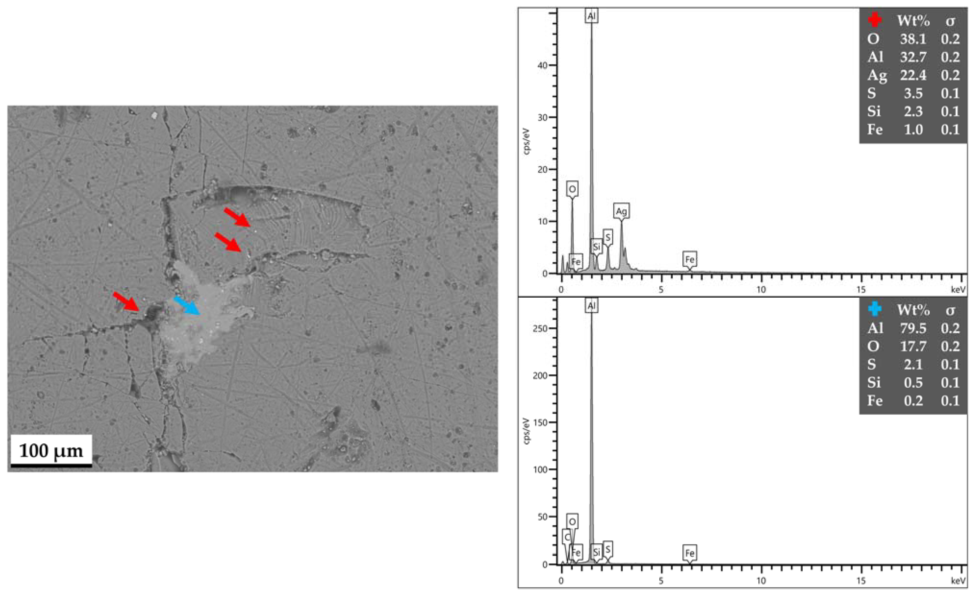Lubricants 12 00383 g007