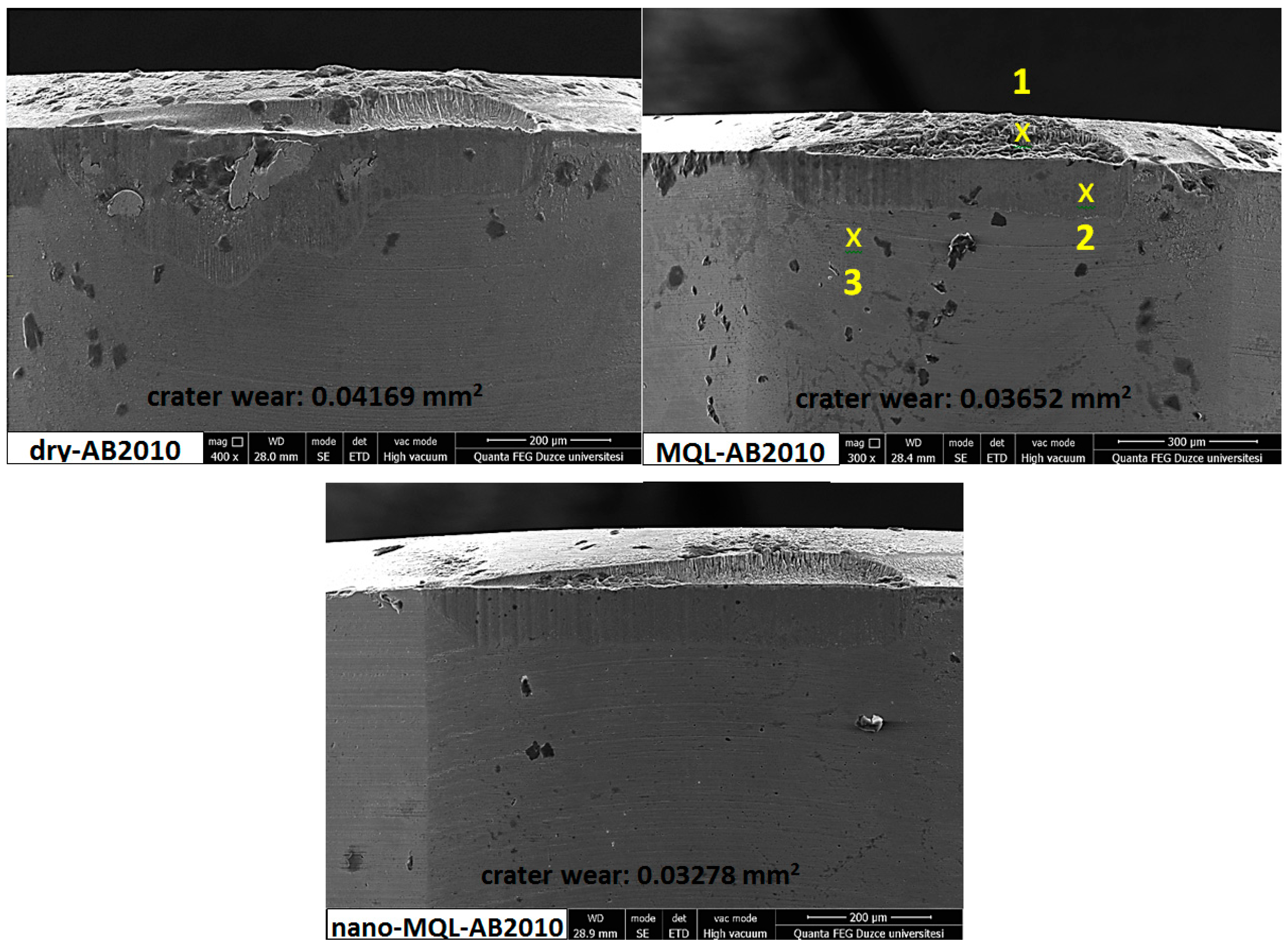 Lubricants 12 00393 g010