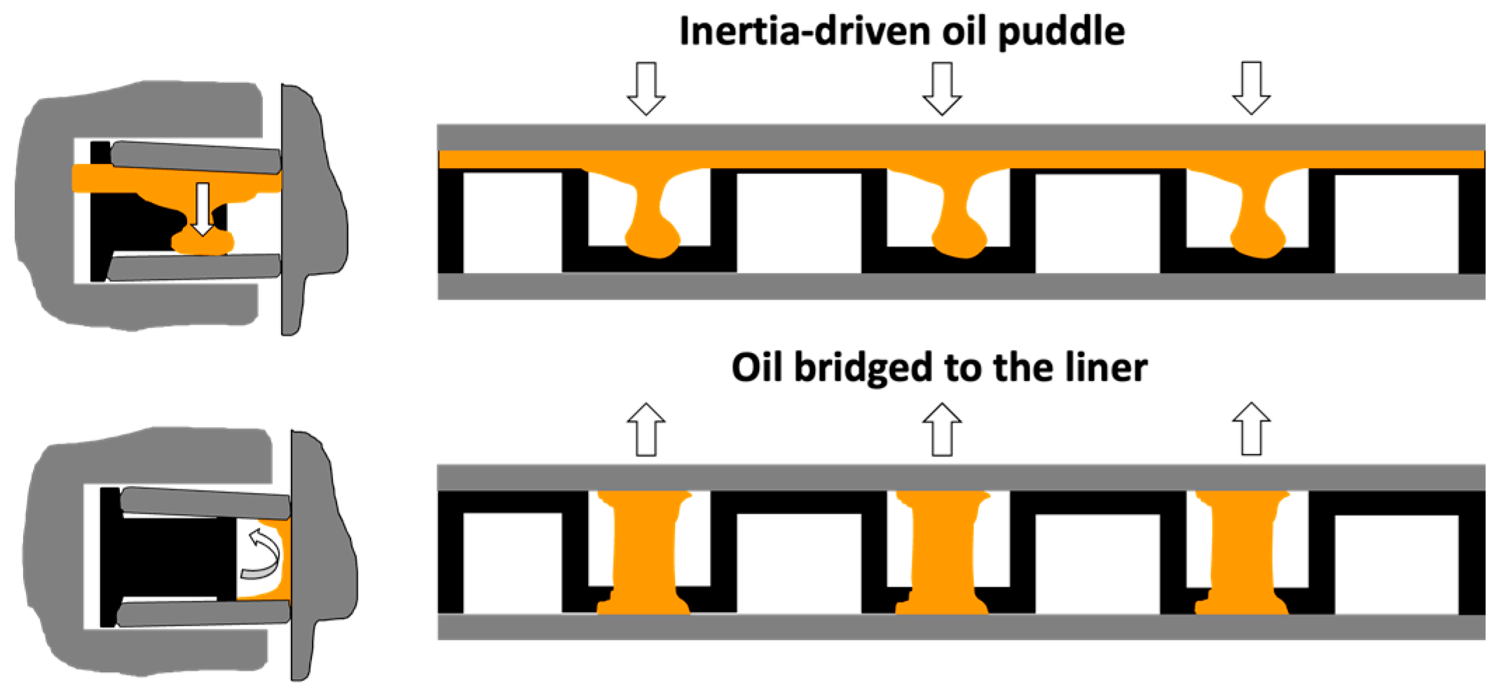 Lubricants 12 00394 g006