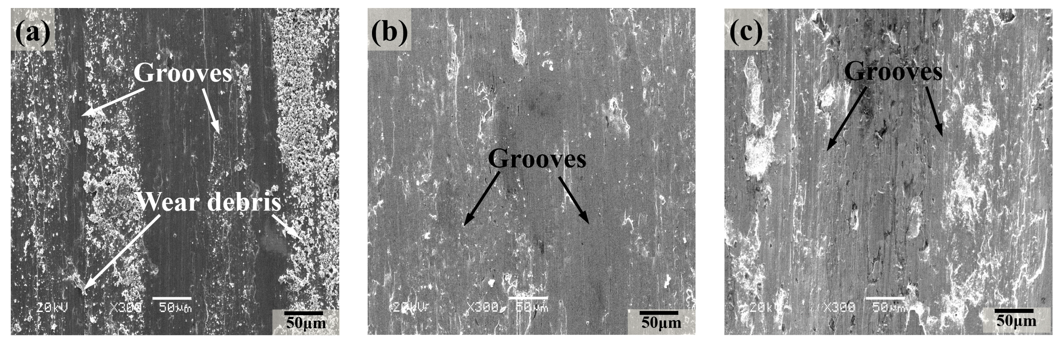 Lubricants 12 00396 g005