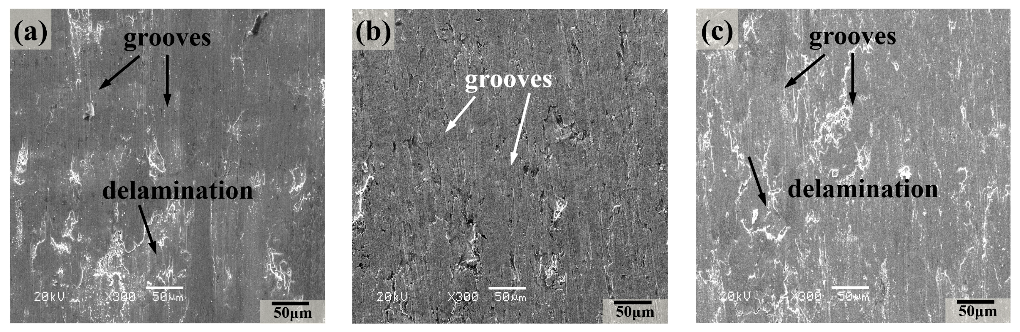 Lubricants 12 00396 g006