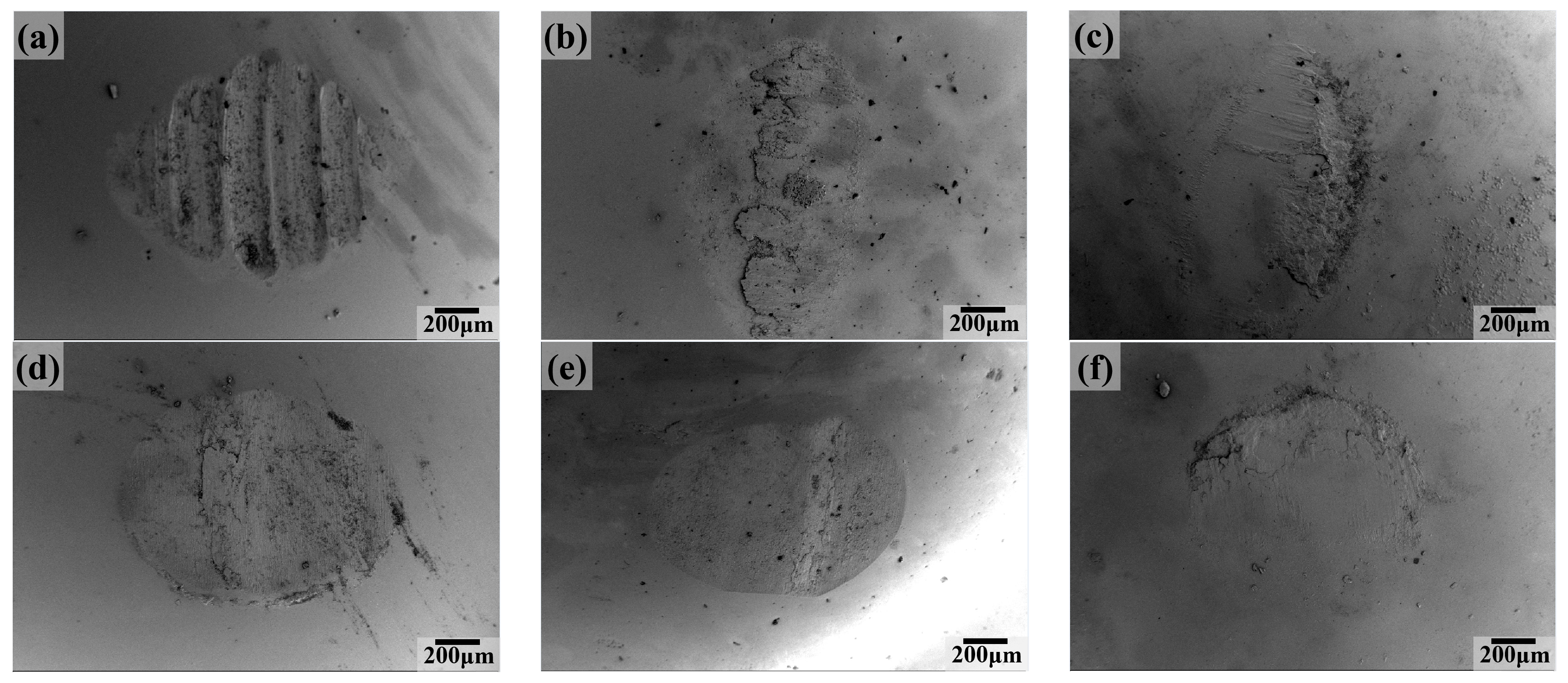 Lubricants 12 00396 g009