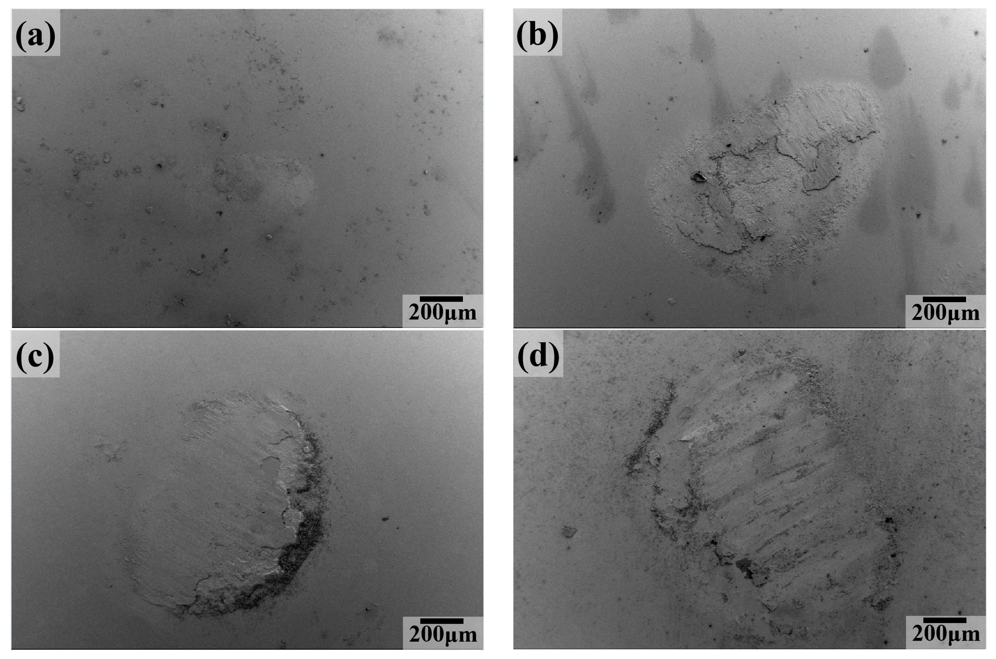 Lubricants 12 00396 g012