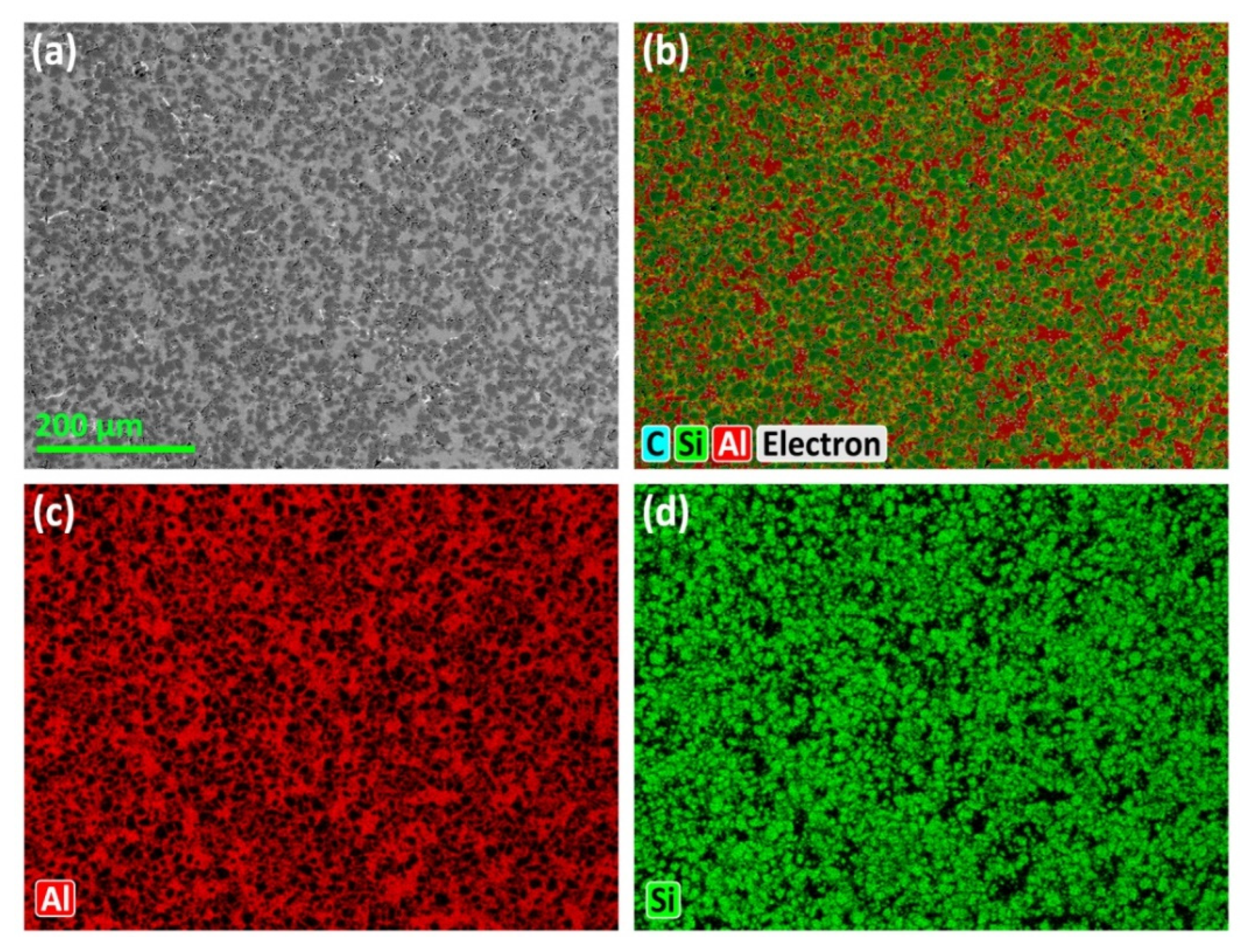Lubricants 12 00398 g005