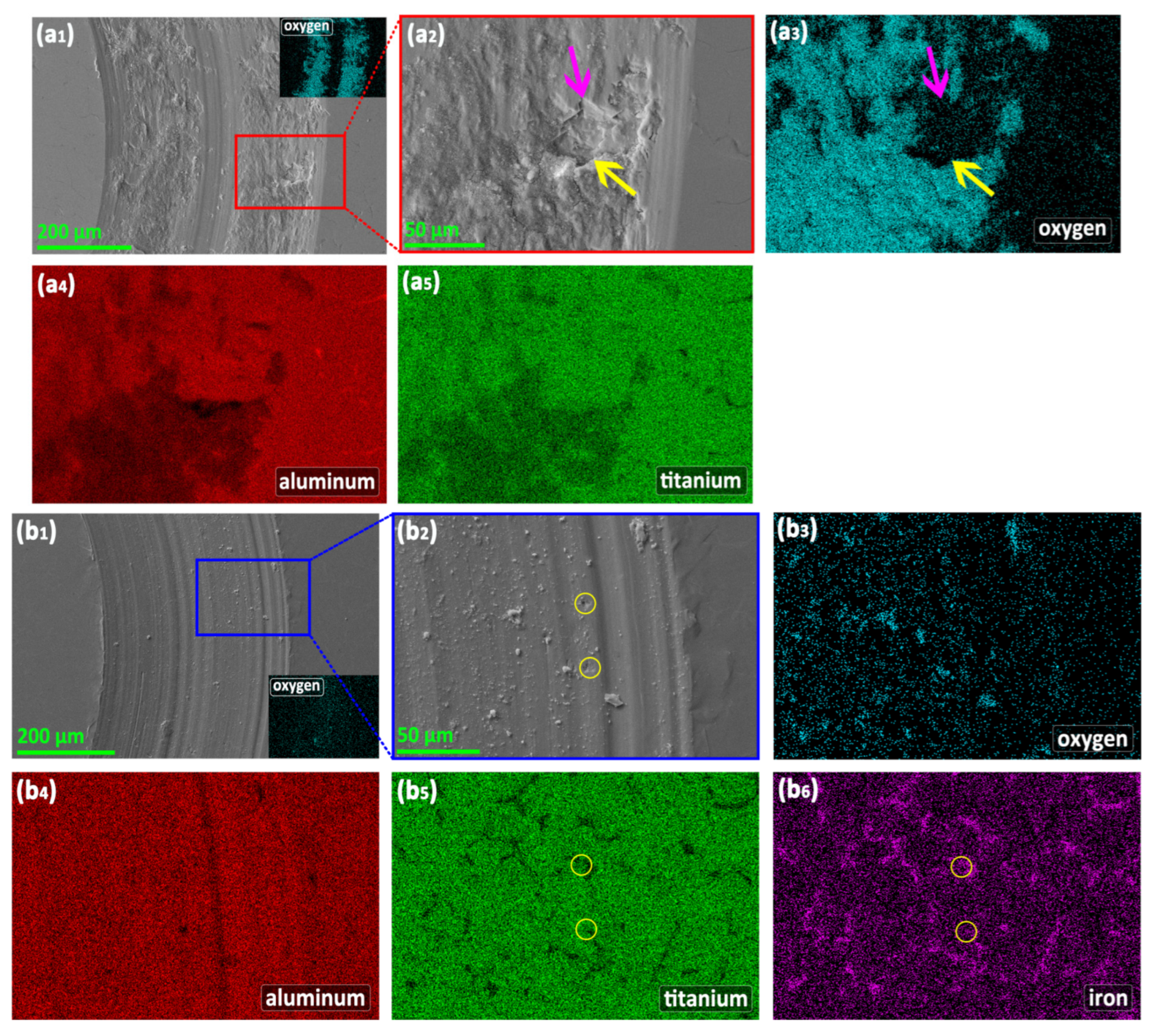 Lubricants 12 00398 g009
