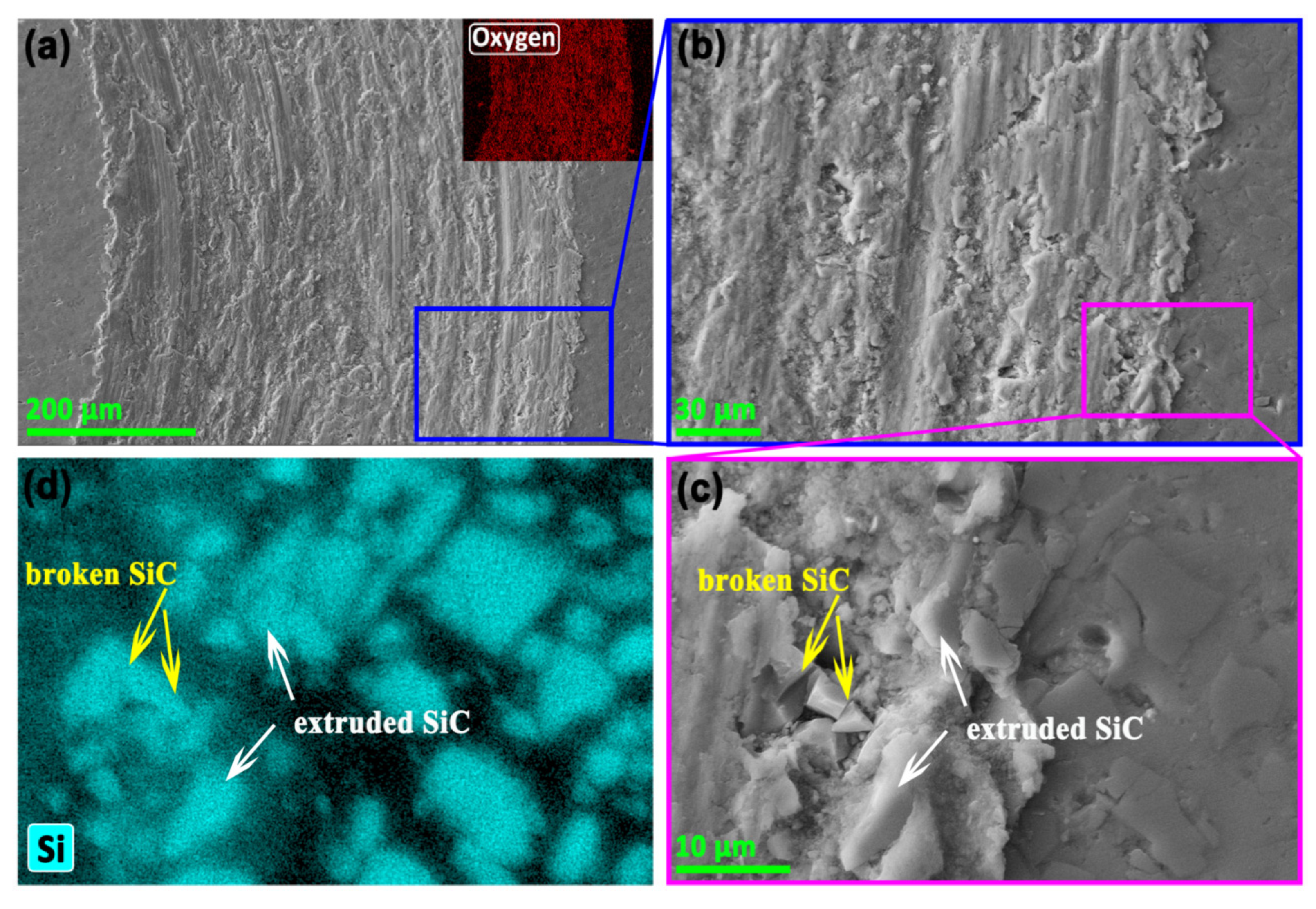 Lubricants 12 00398 g010