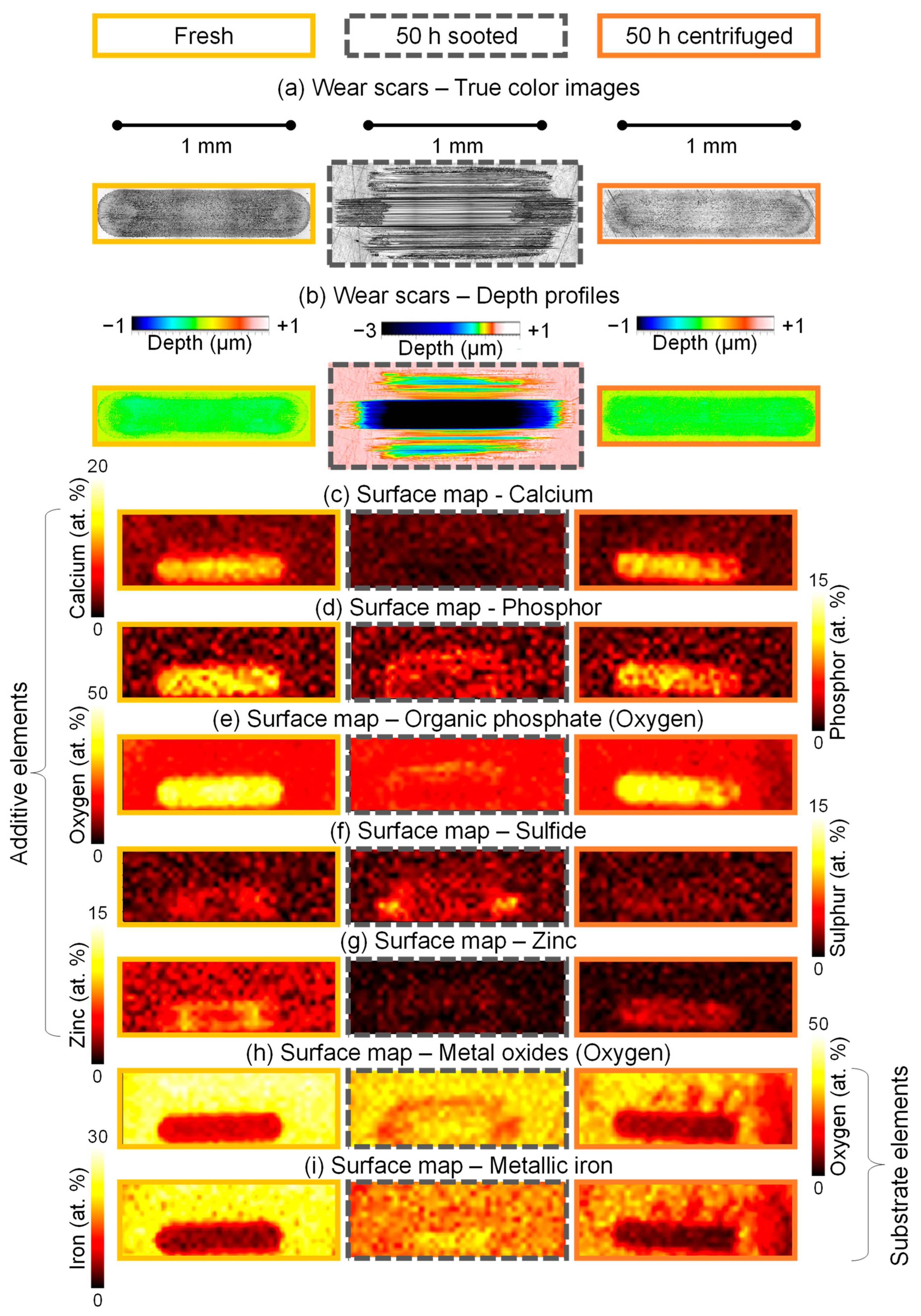 Lubricants 12 00401 g012