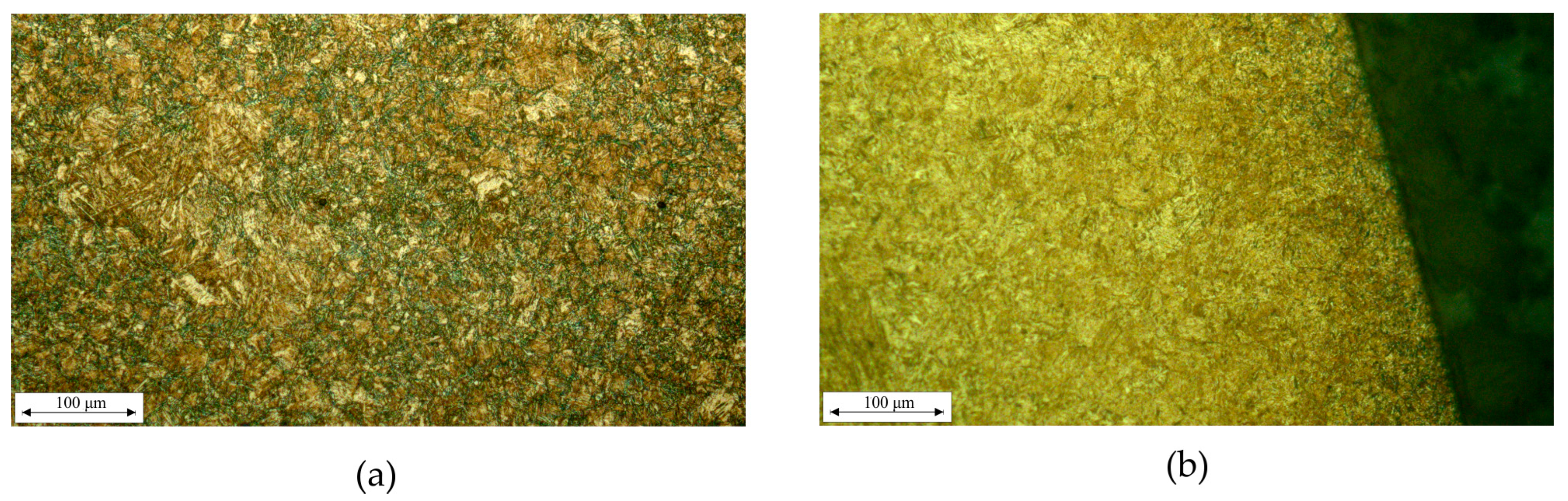 Lubricants 12 00408 g001