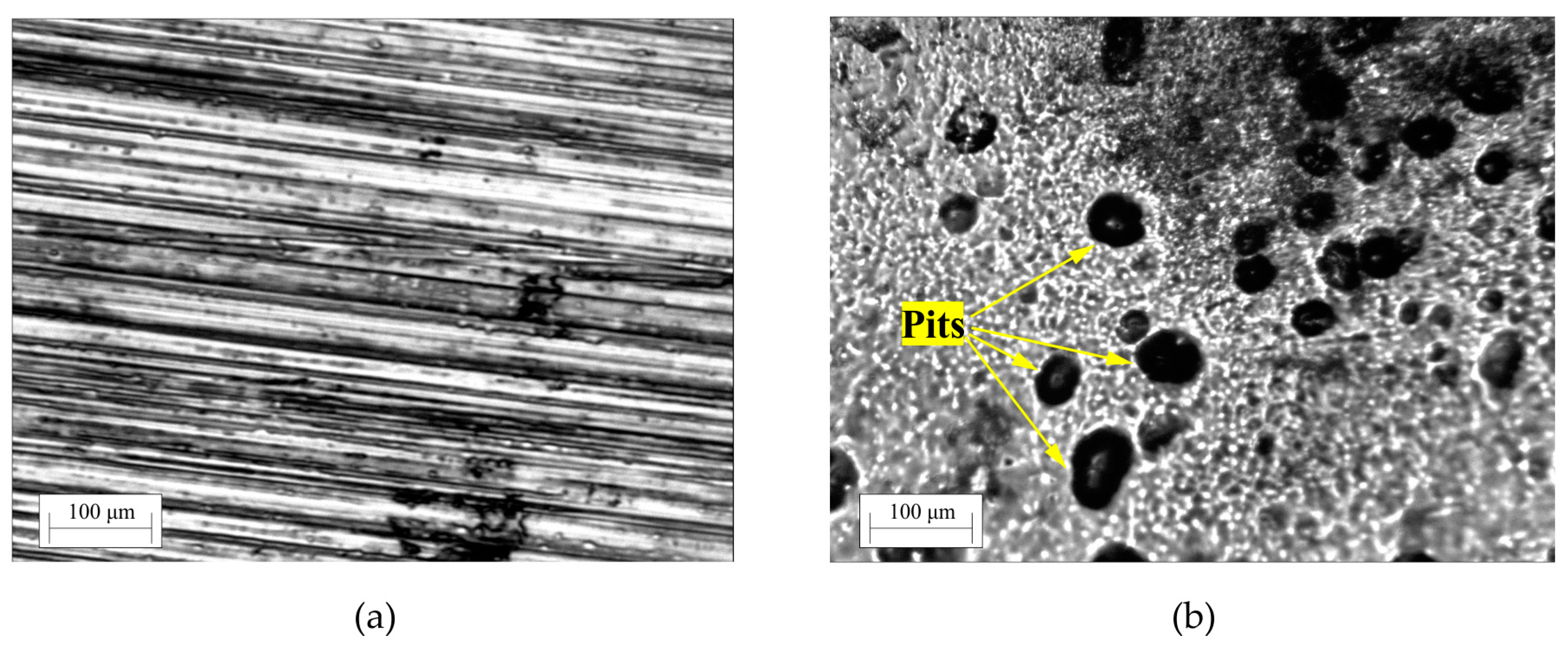 Lubricants 12 00408 g008