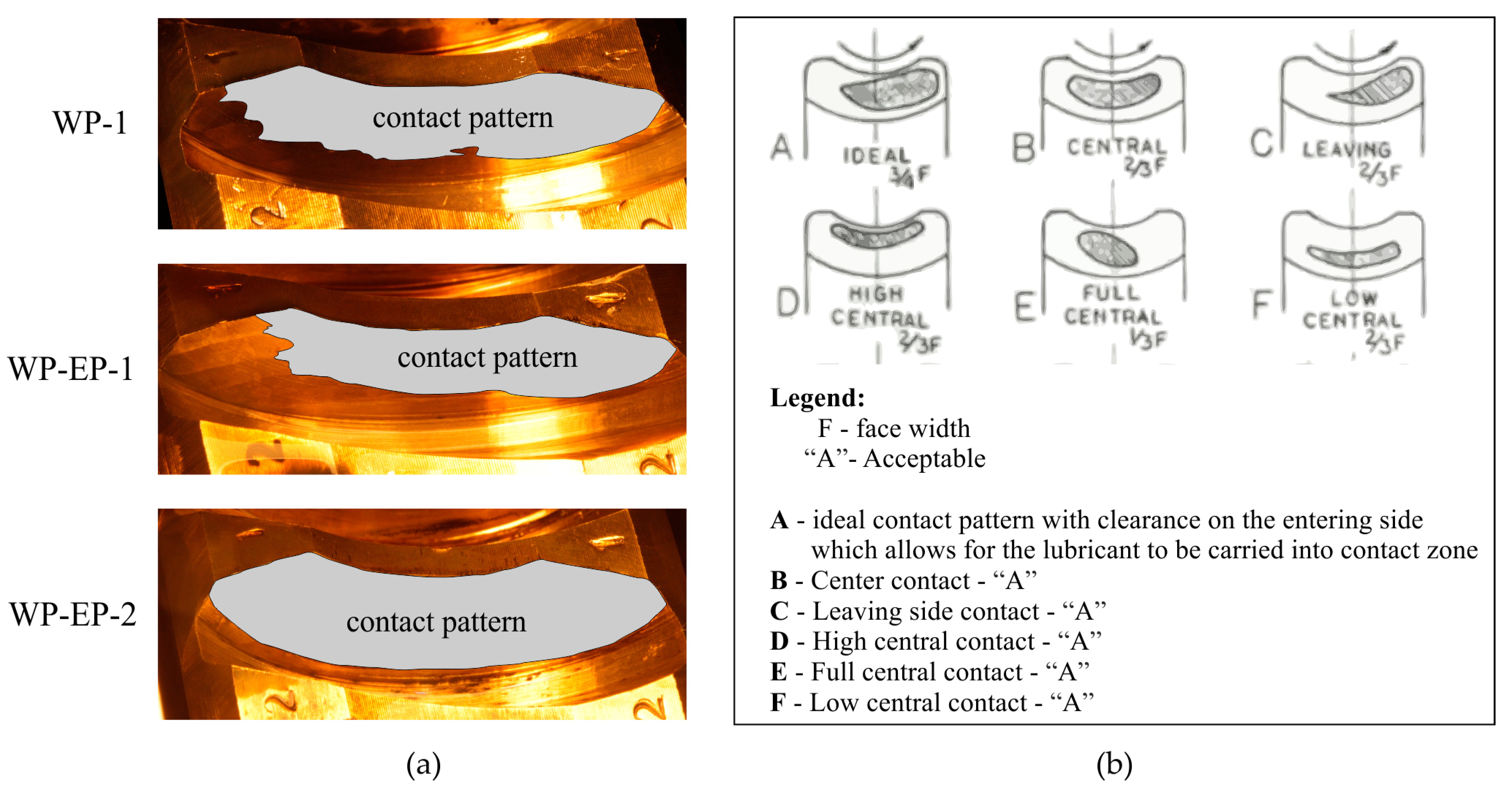 Lubricants 12 00408 g013