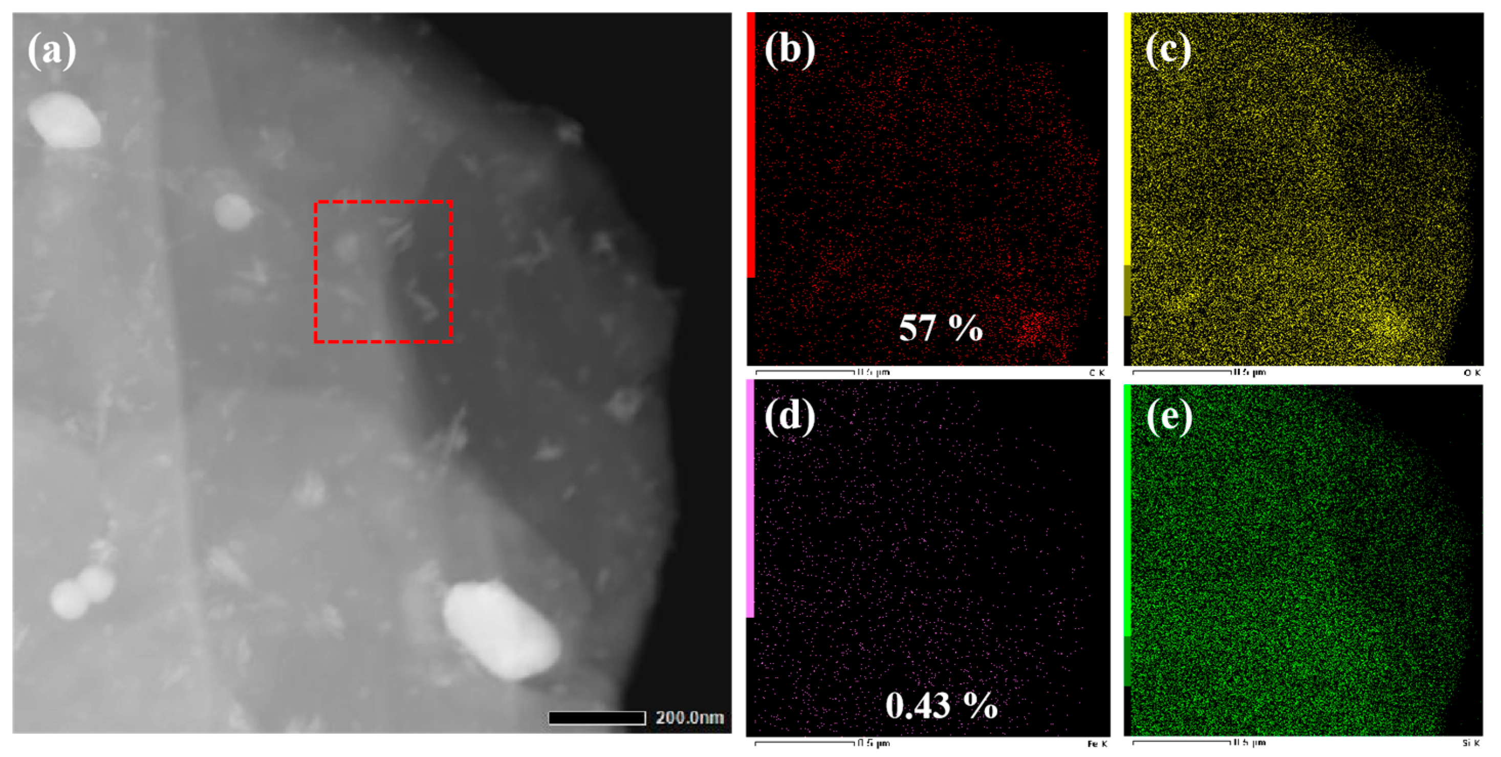 Lubricants 12 00416 g013