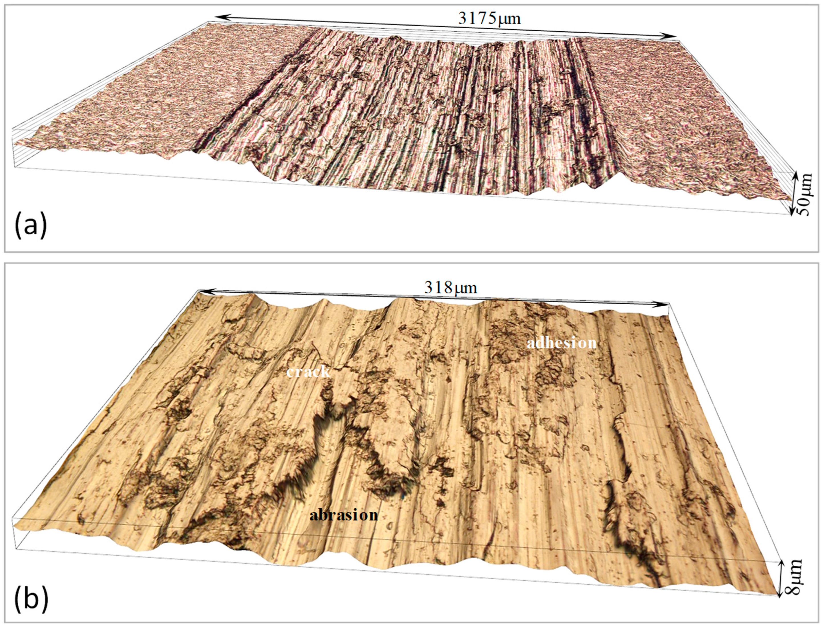 Lubricants 12 00439 g005