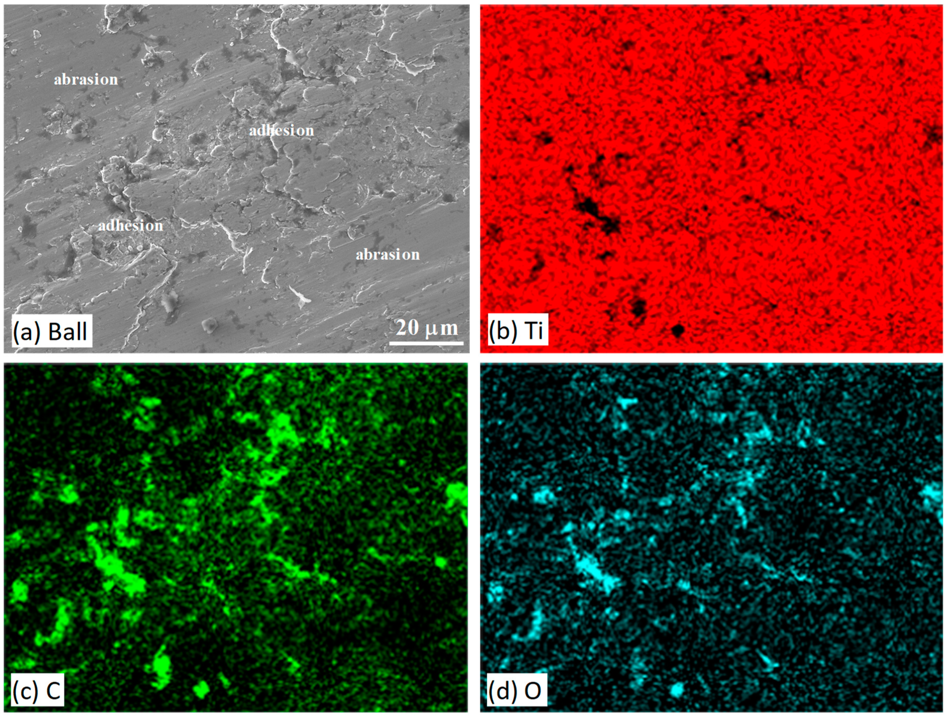 Lubricants 12 00439 g006