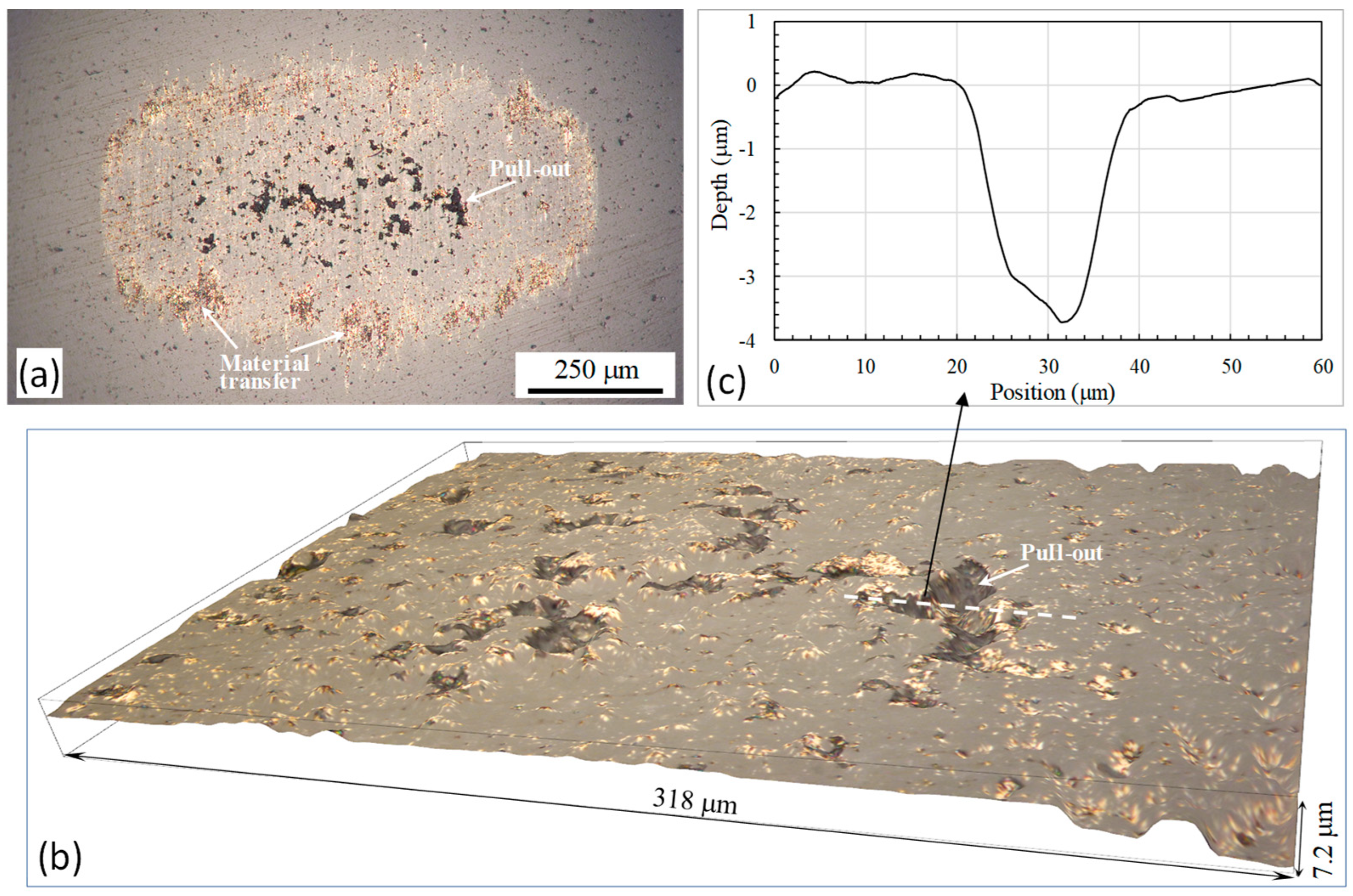 Lubricants 12 00439 g008