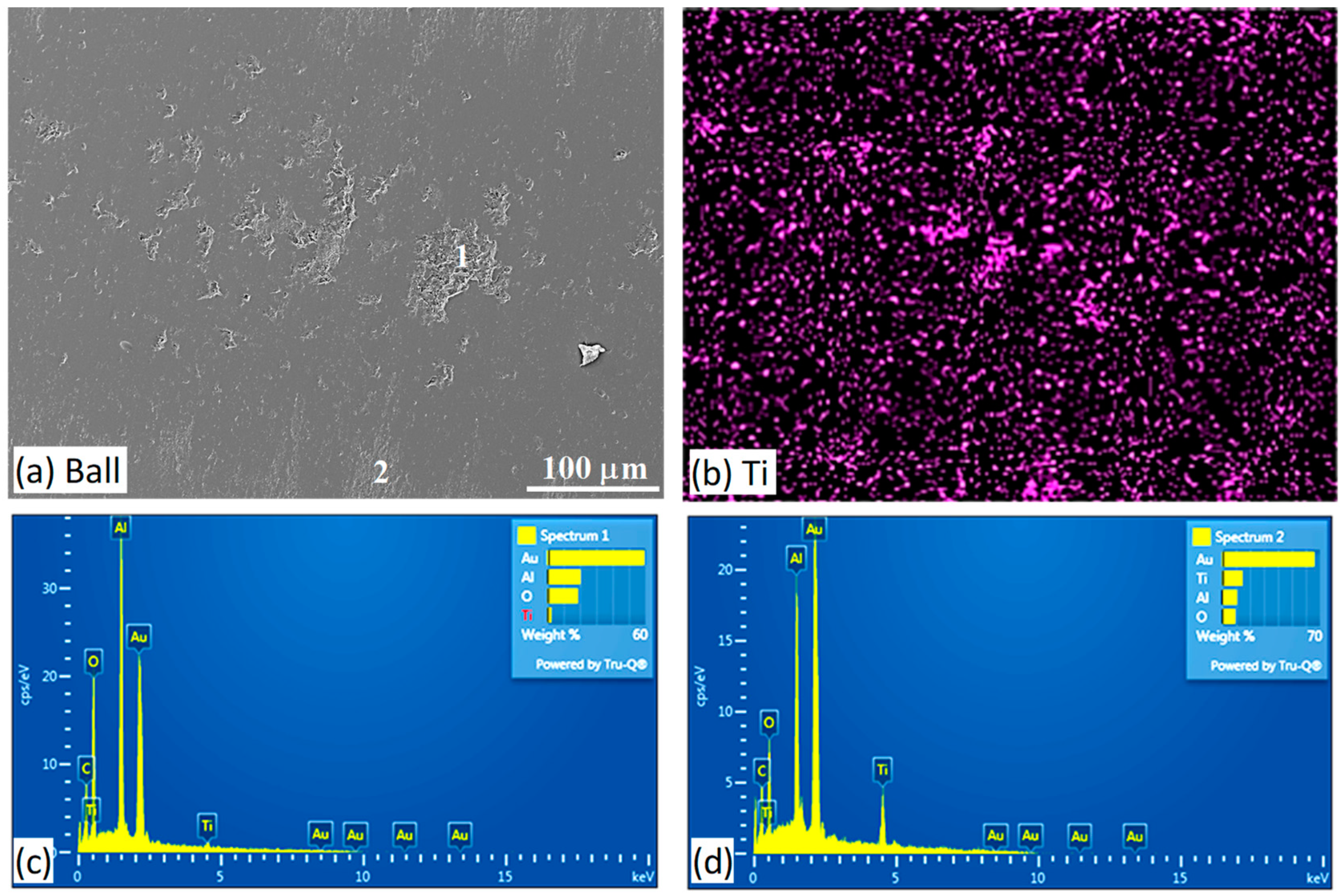 Lubricants 12 00439 g009