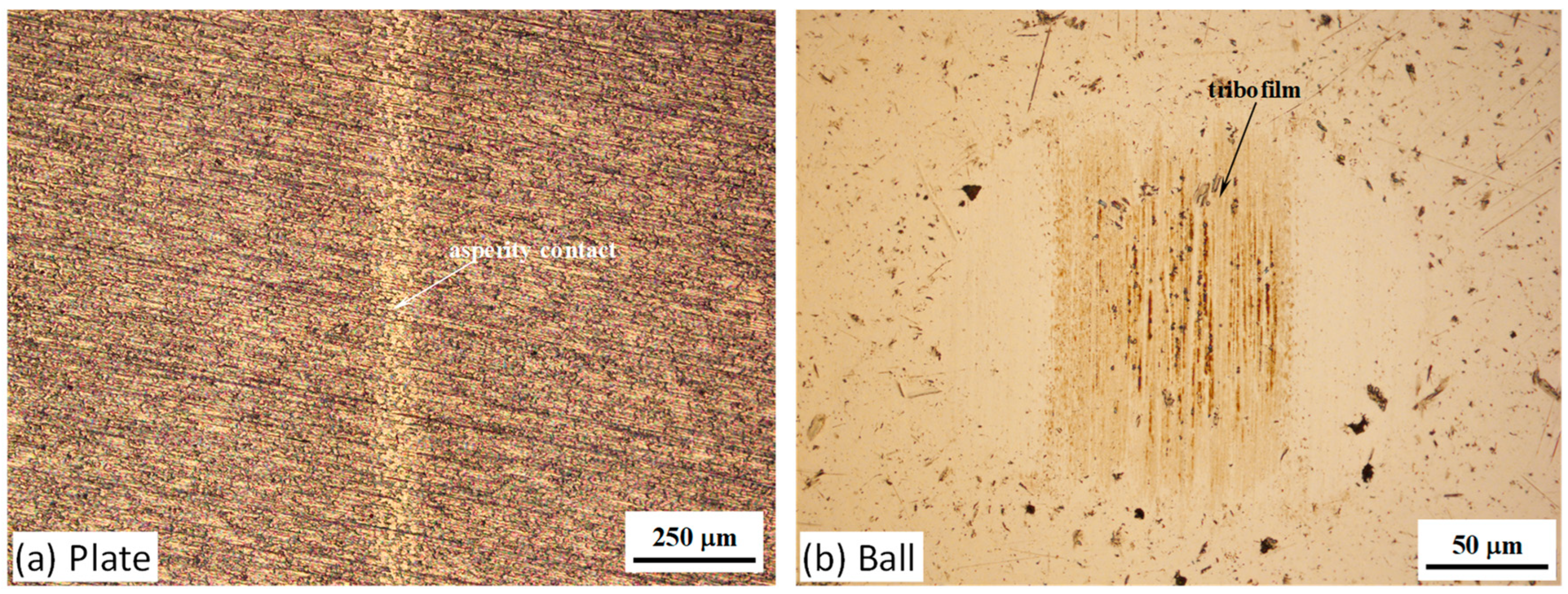 Lubricants 12 00439 g010