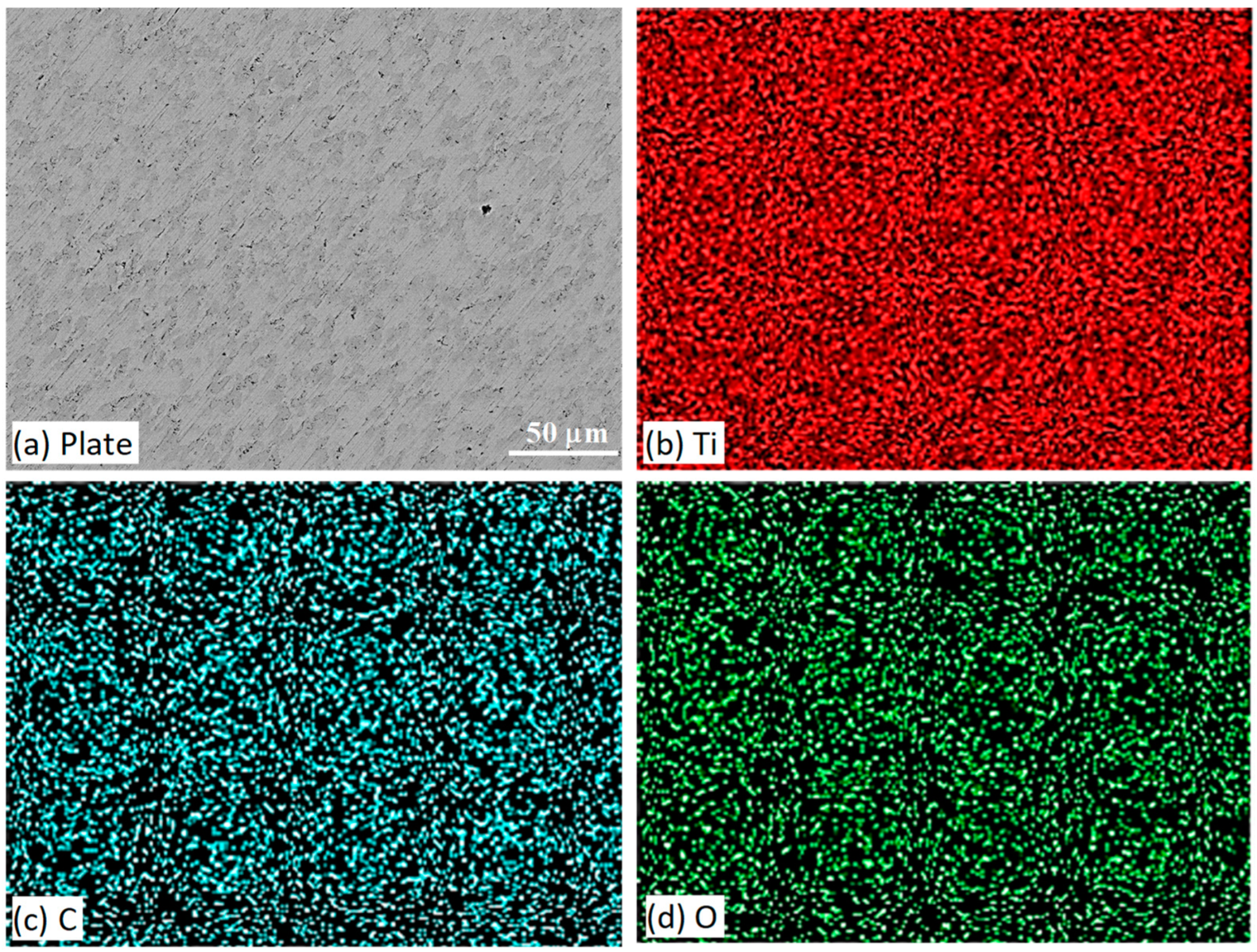 Lubricants 12 00439 g012