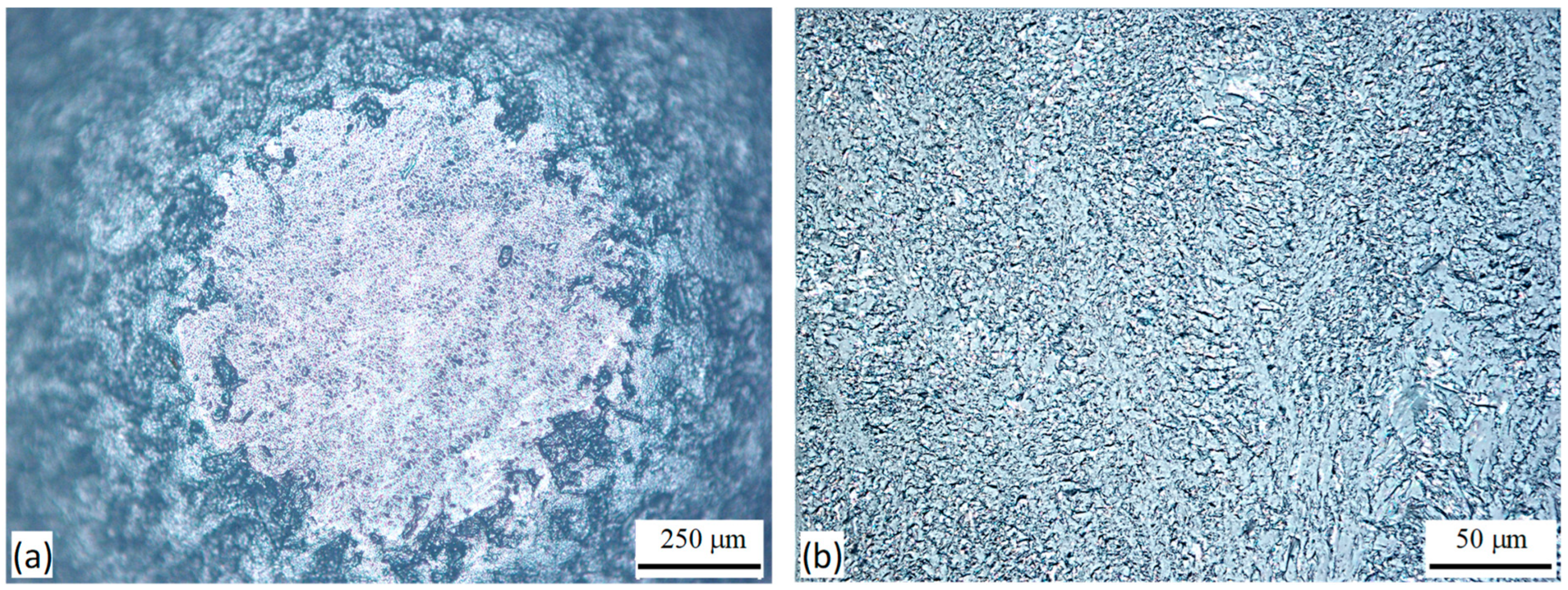 Lubricants 12 00439 g013