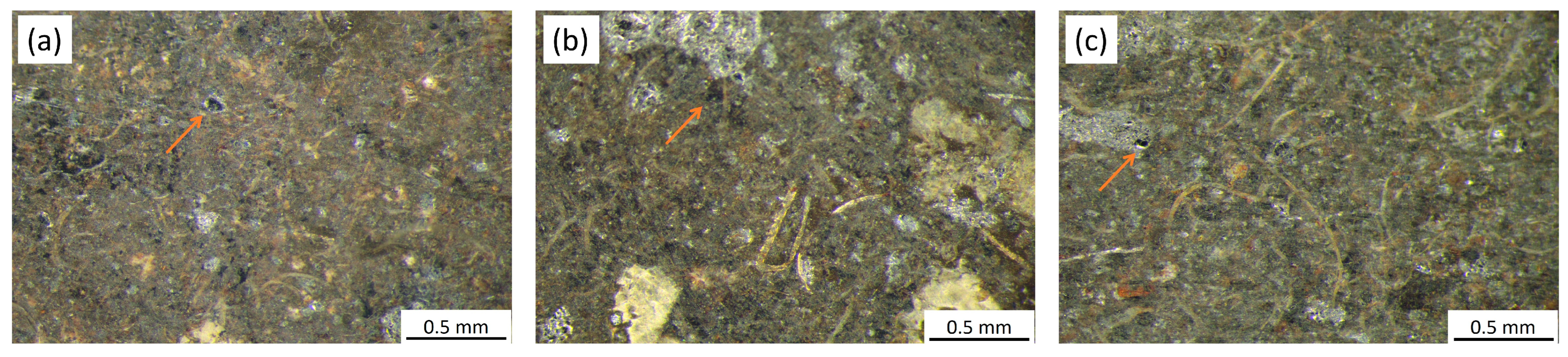 Lubricants 12 00440 g005