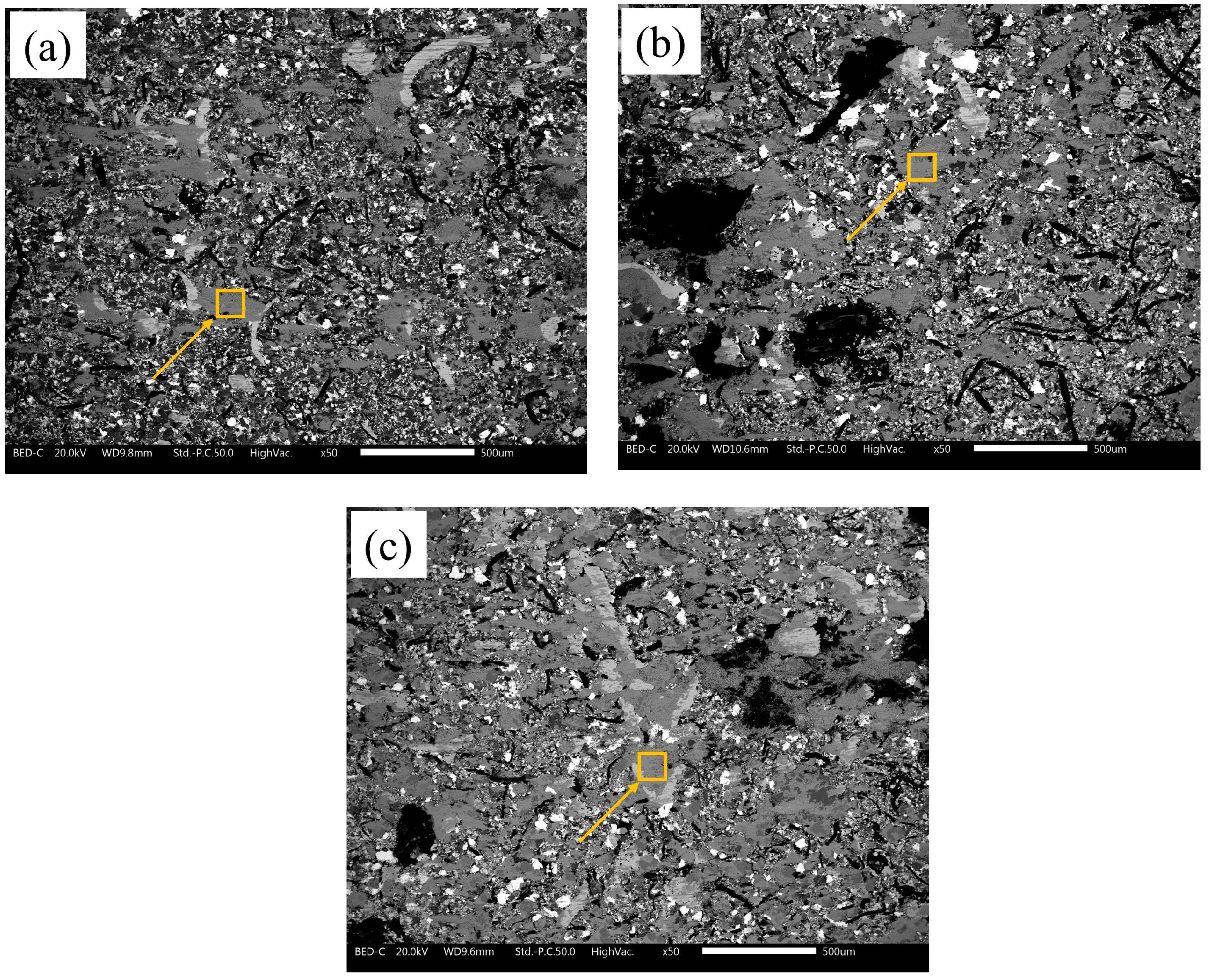 Lubricants 12 00440 g009