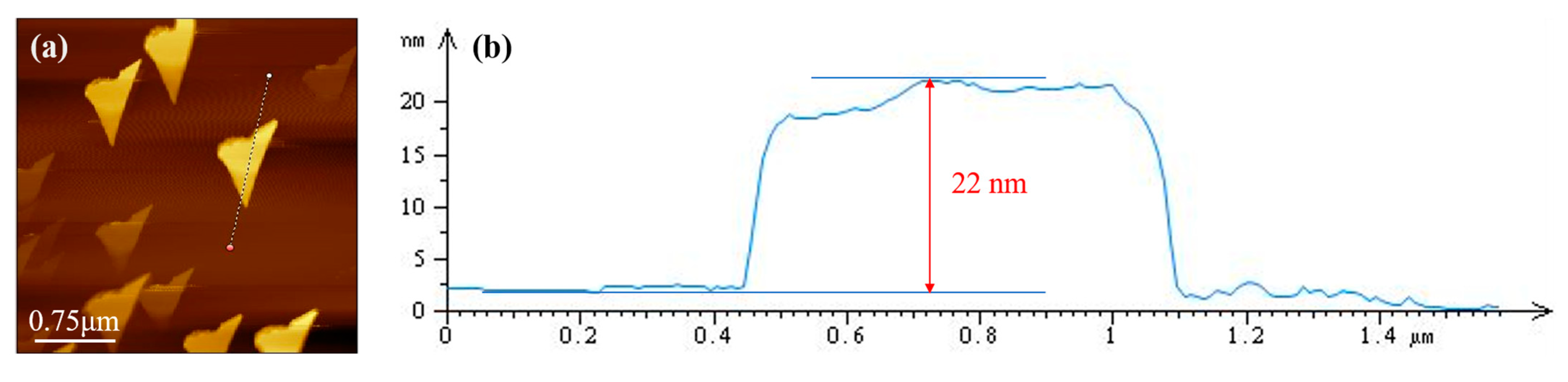 Lubricants 12 00447 g001