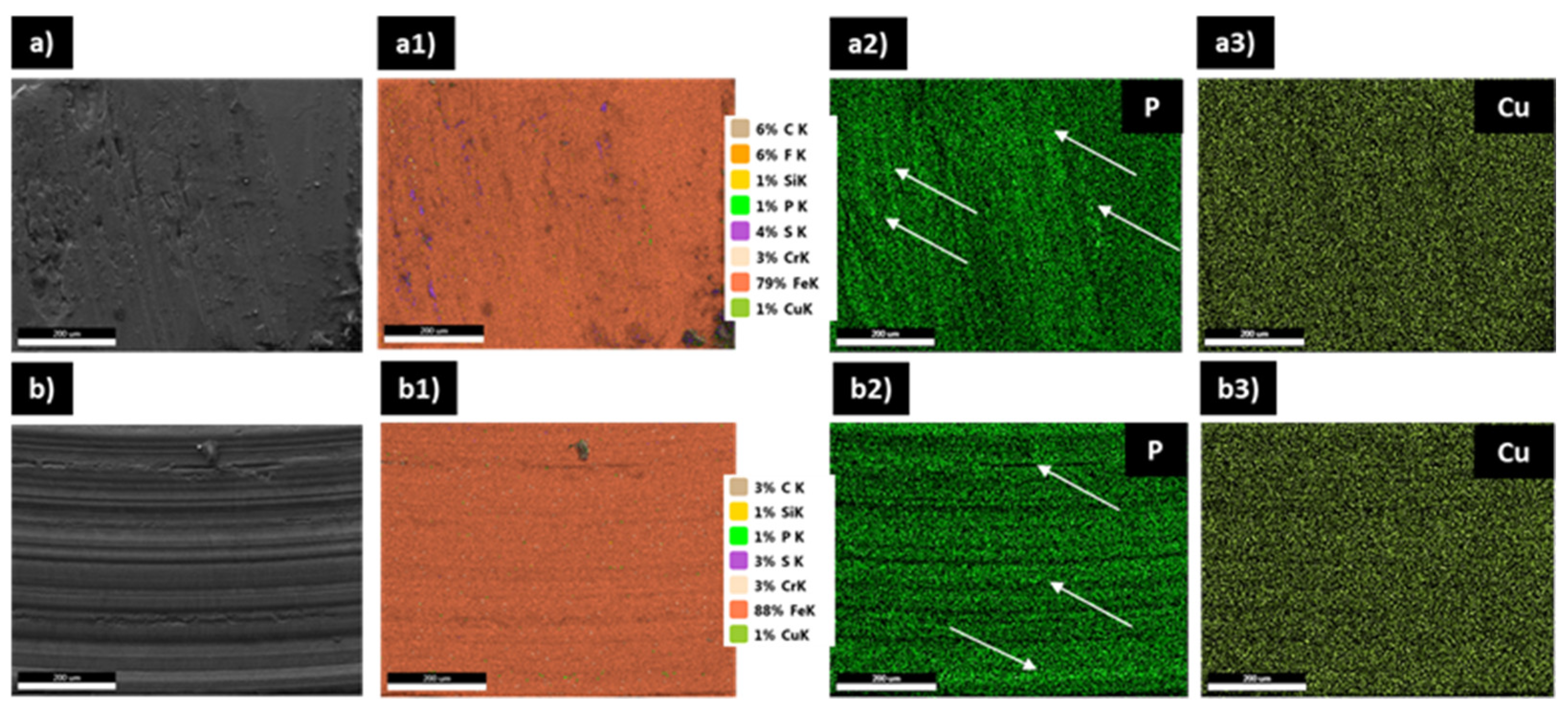 Lubricants 12 00448 g009