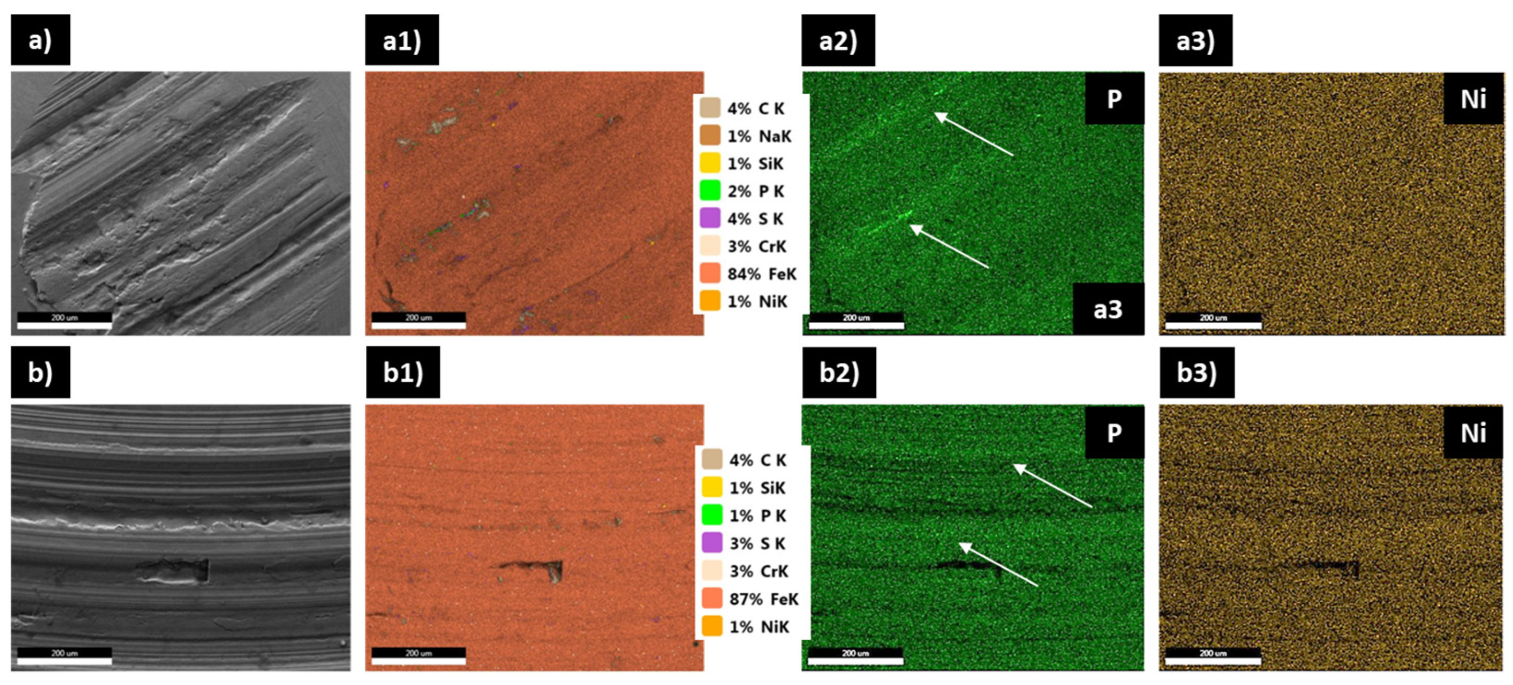 Lubricants 12 00448 g010