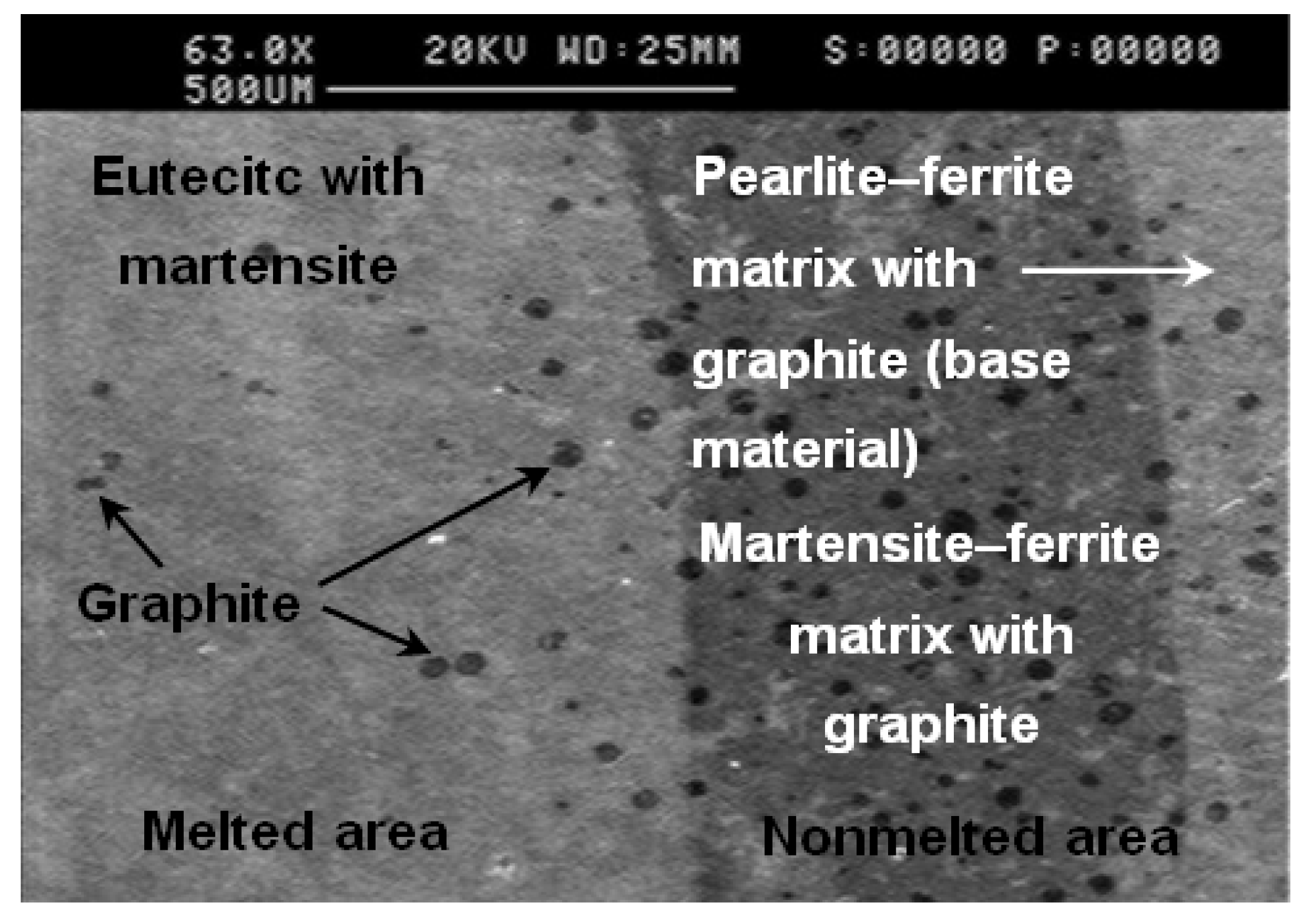Lubricants 12 00457 g003