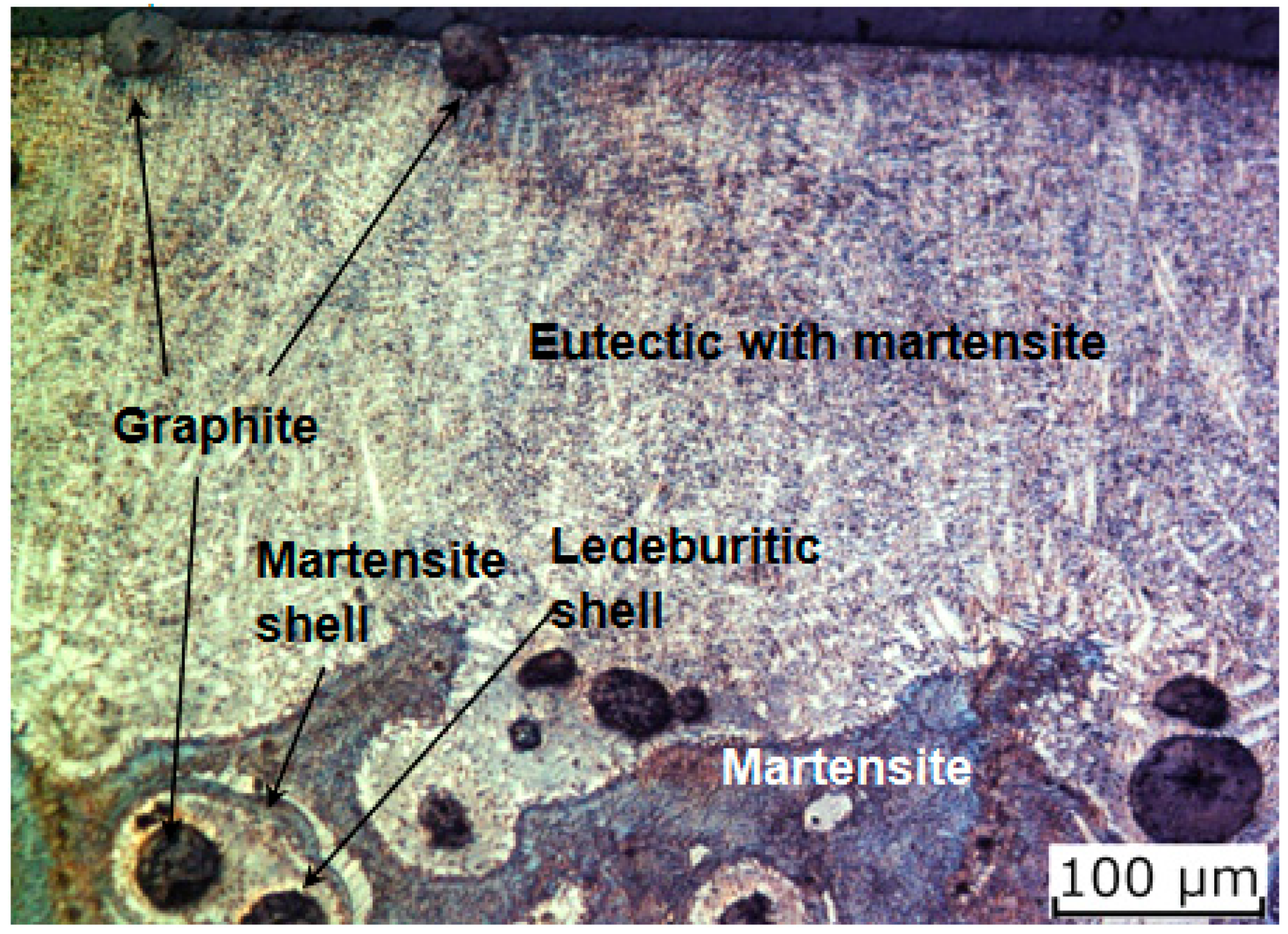 Lubricants 12 00457 g004