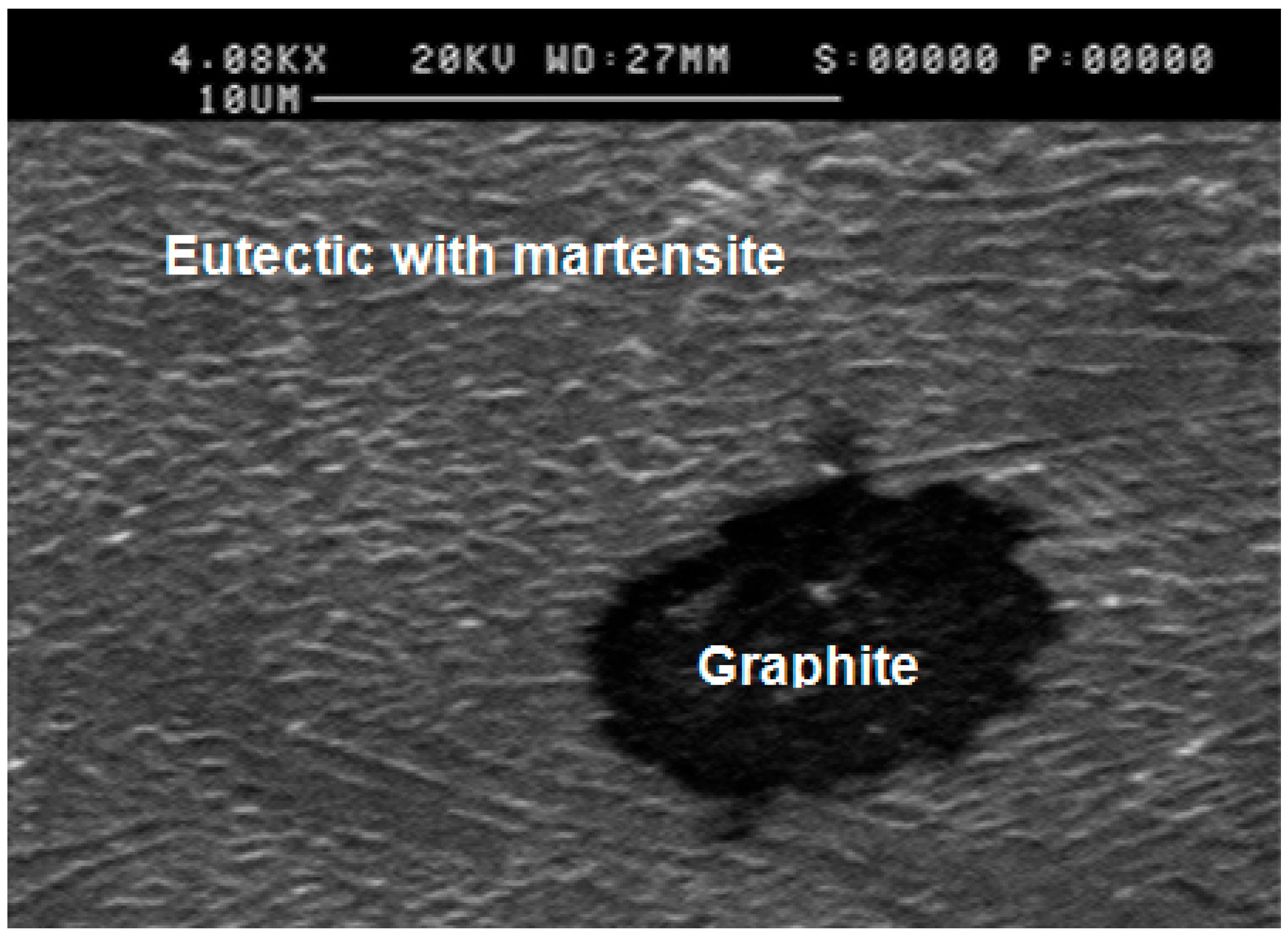 Lubricants 12 00457 g005