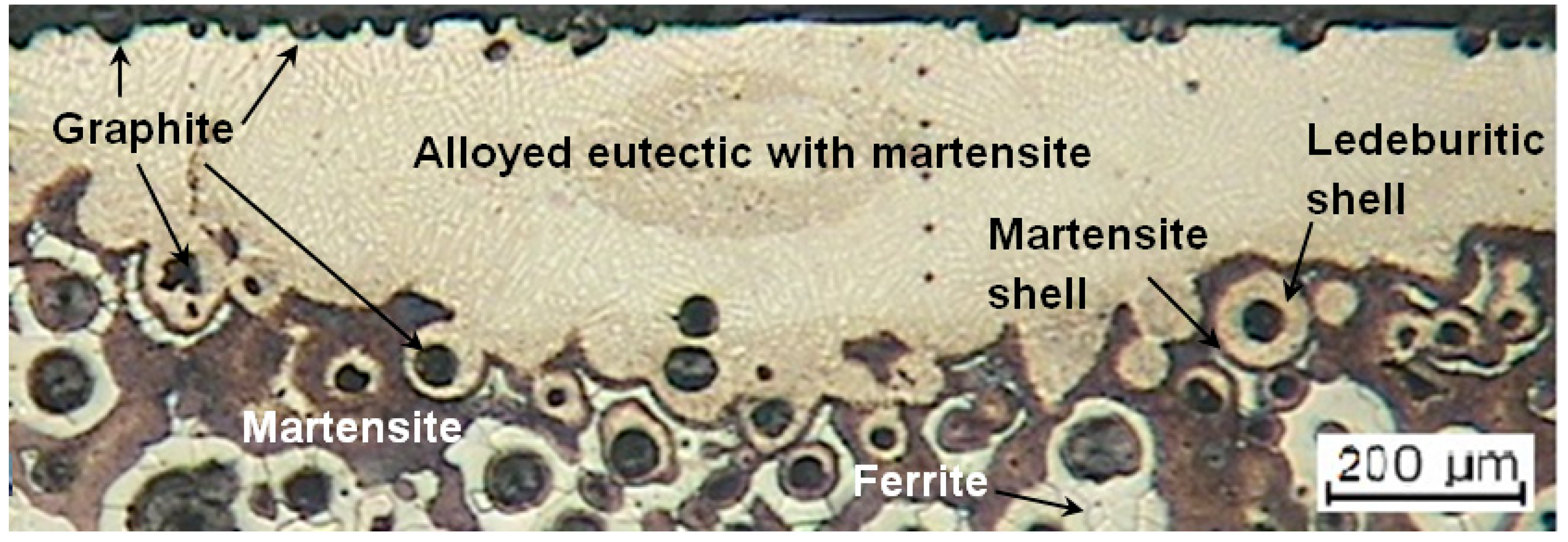 Lubricants 12 00457 g006