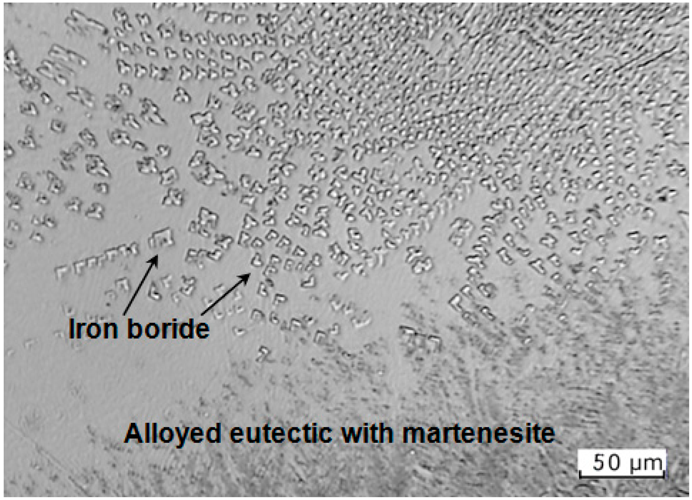 Lubricants 12 00457 g007
