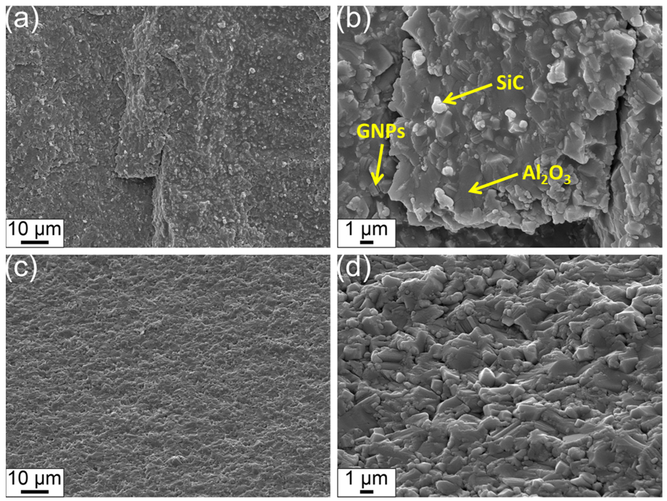 Lubricants 13 00003 g003