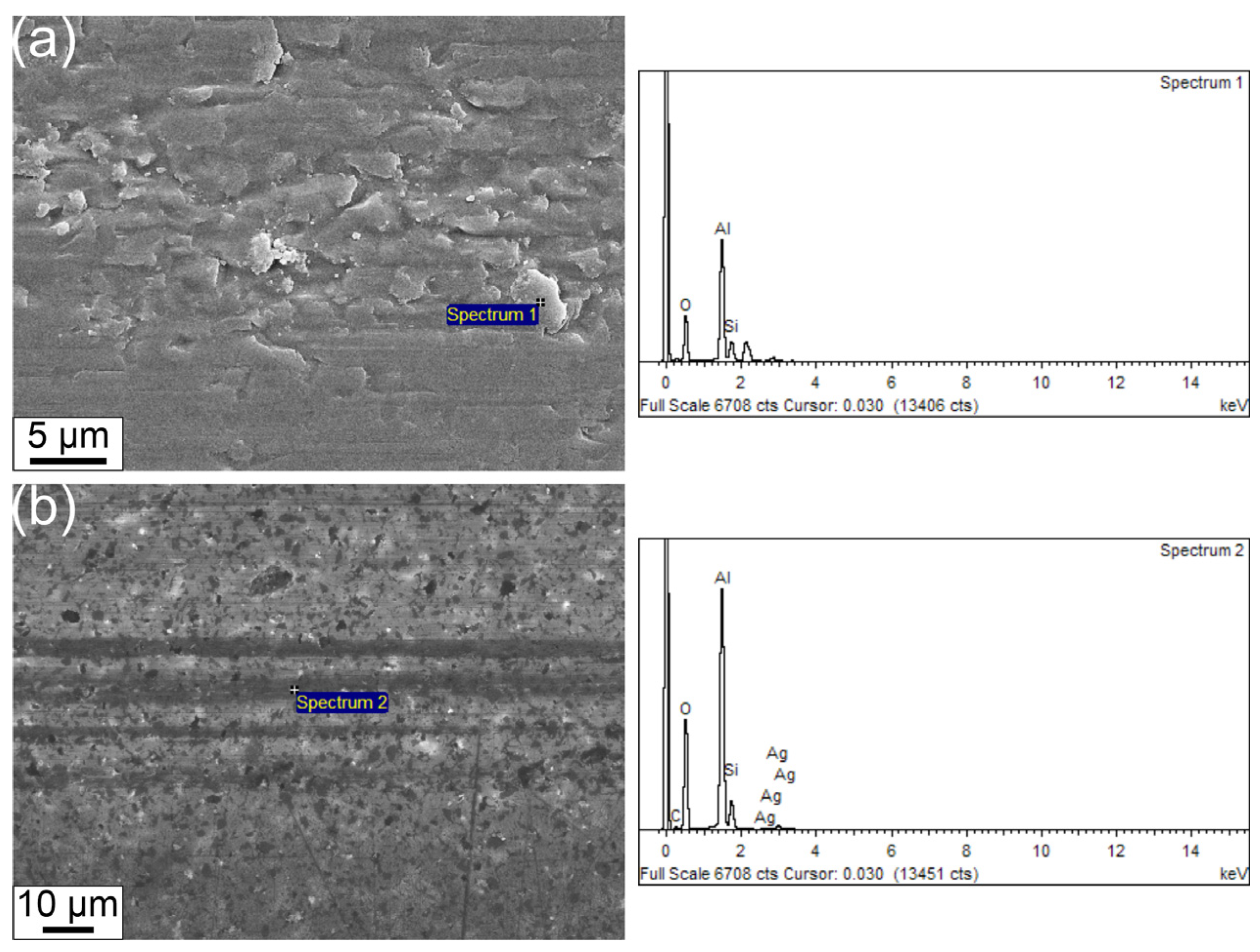 Lubricants 13 00003 g009
