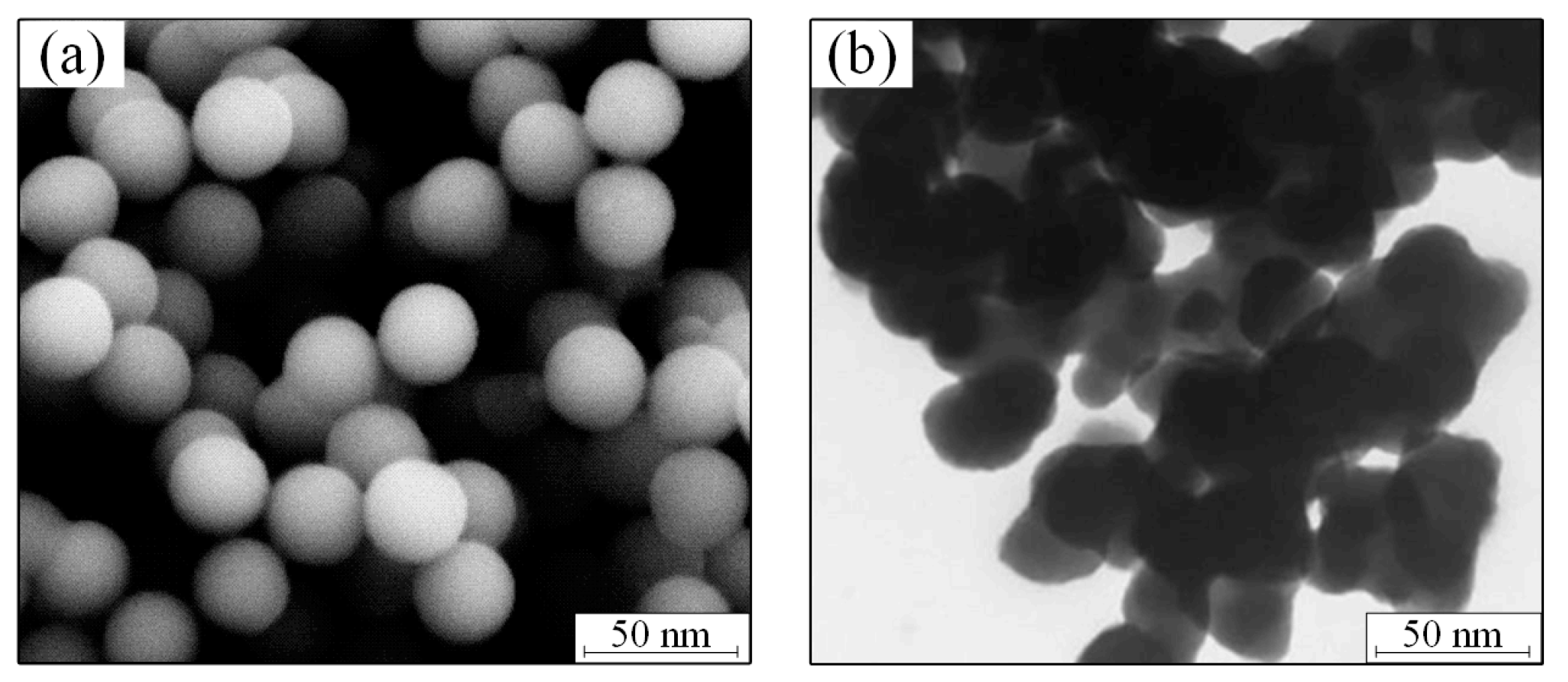 Lubricants 13 00004 g001