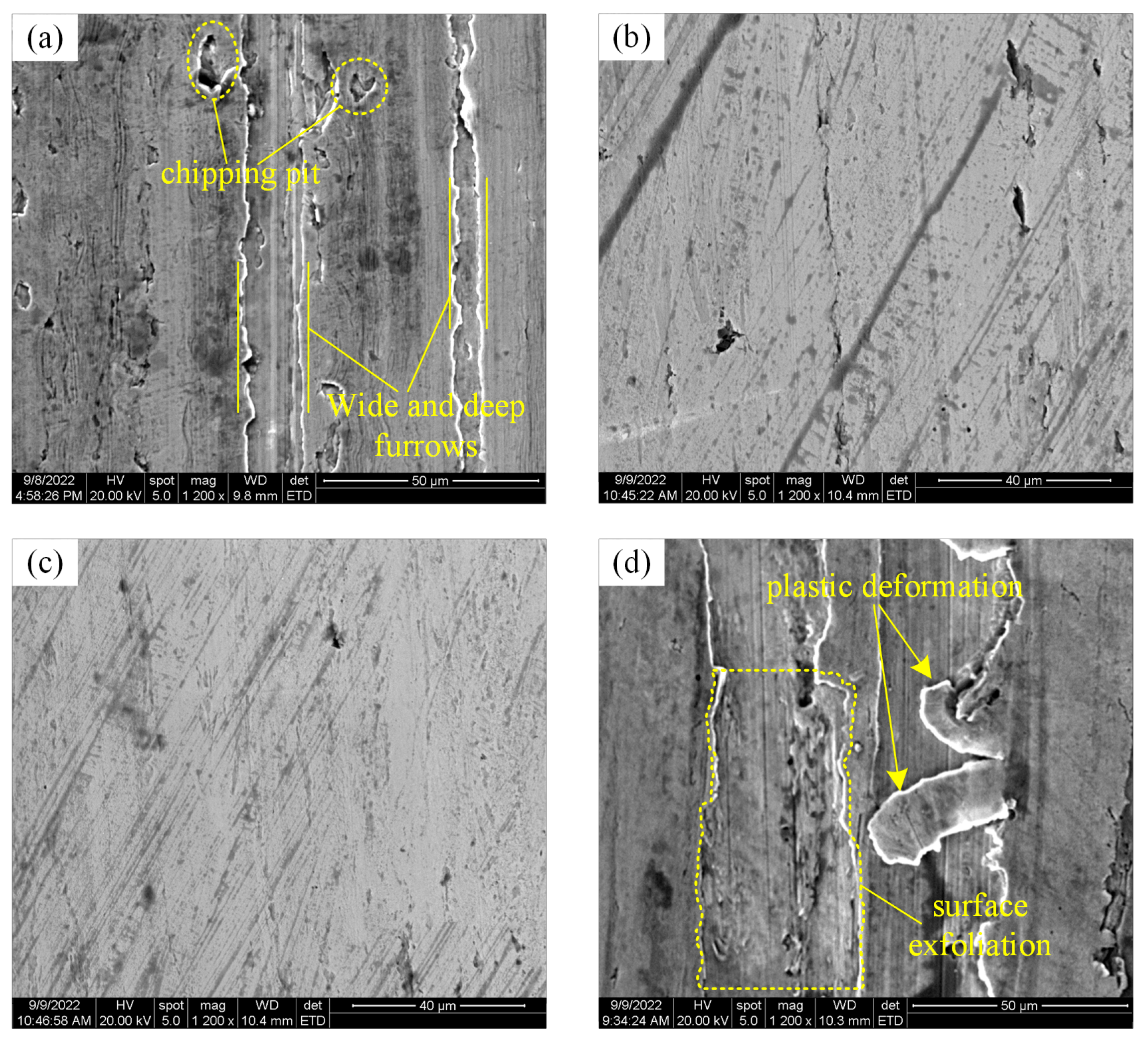 Lubricants 13 00004 g012