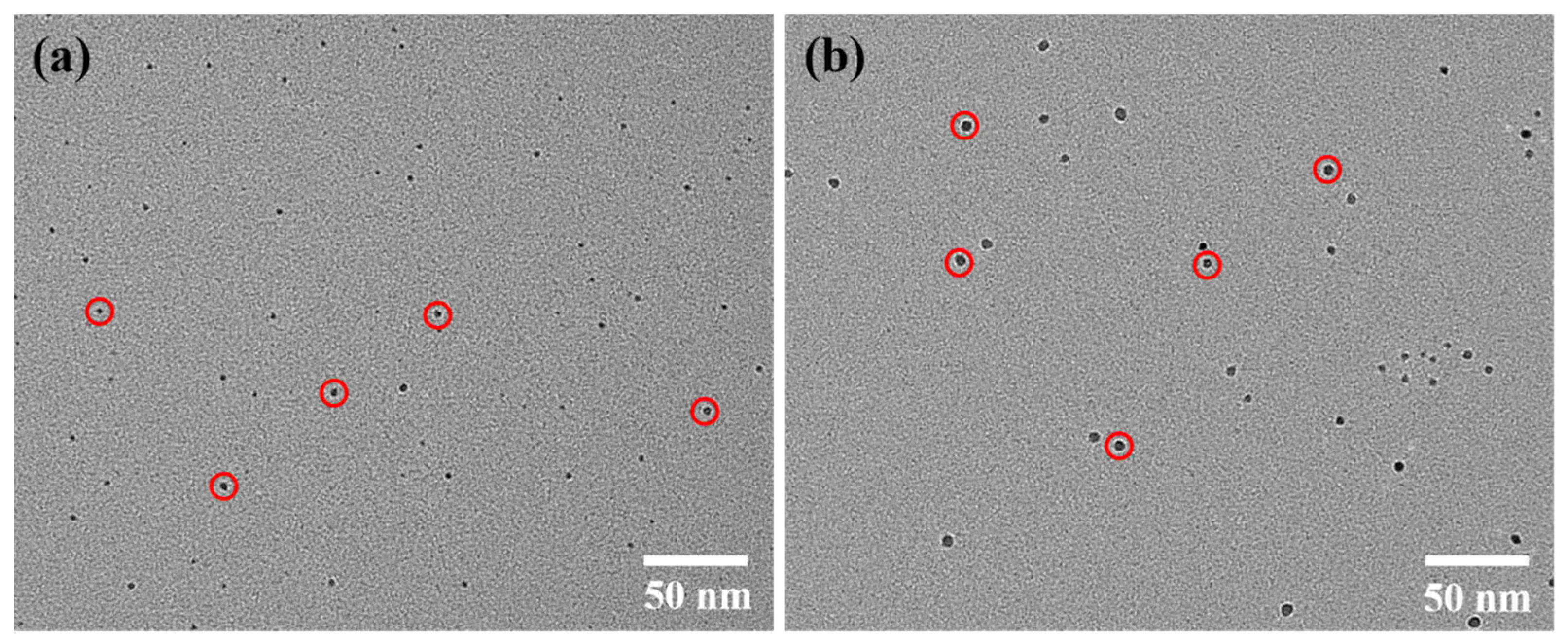 Lubricants 13 00008 g002
