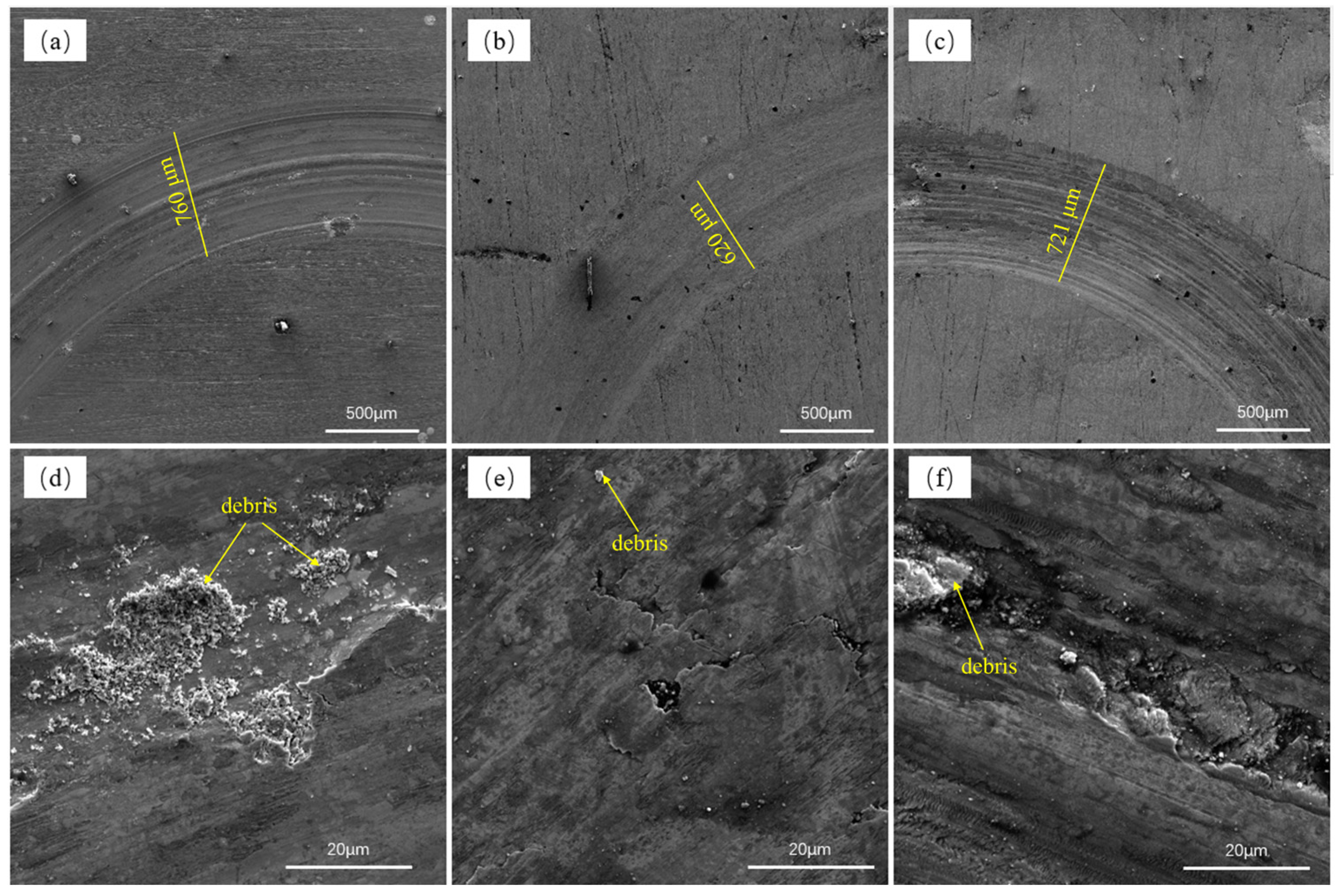 Lubricants 13 00024 g007
