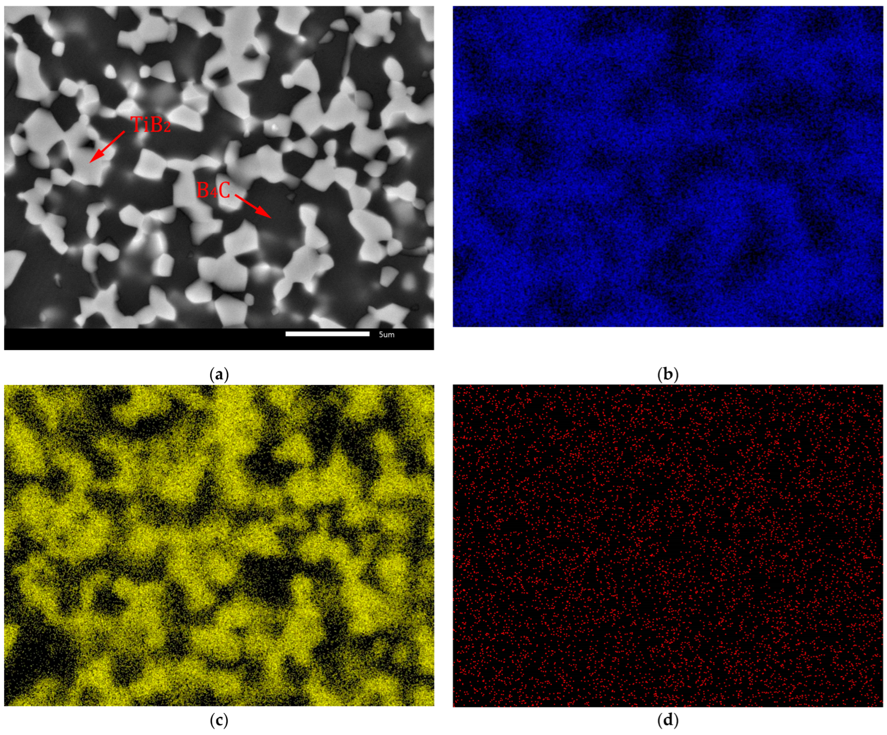 Lubricants 13 00035 g005