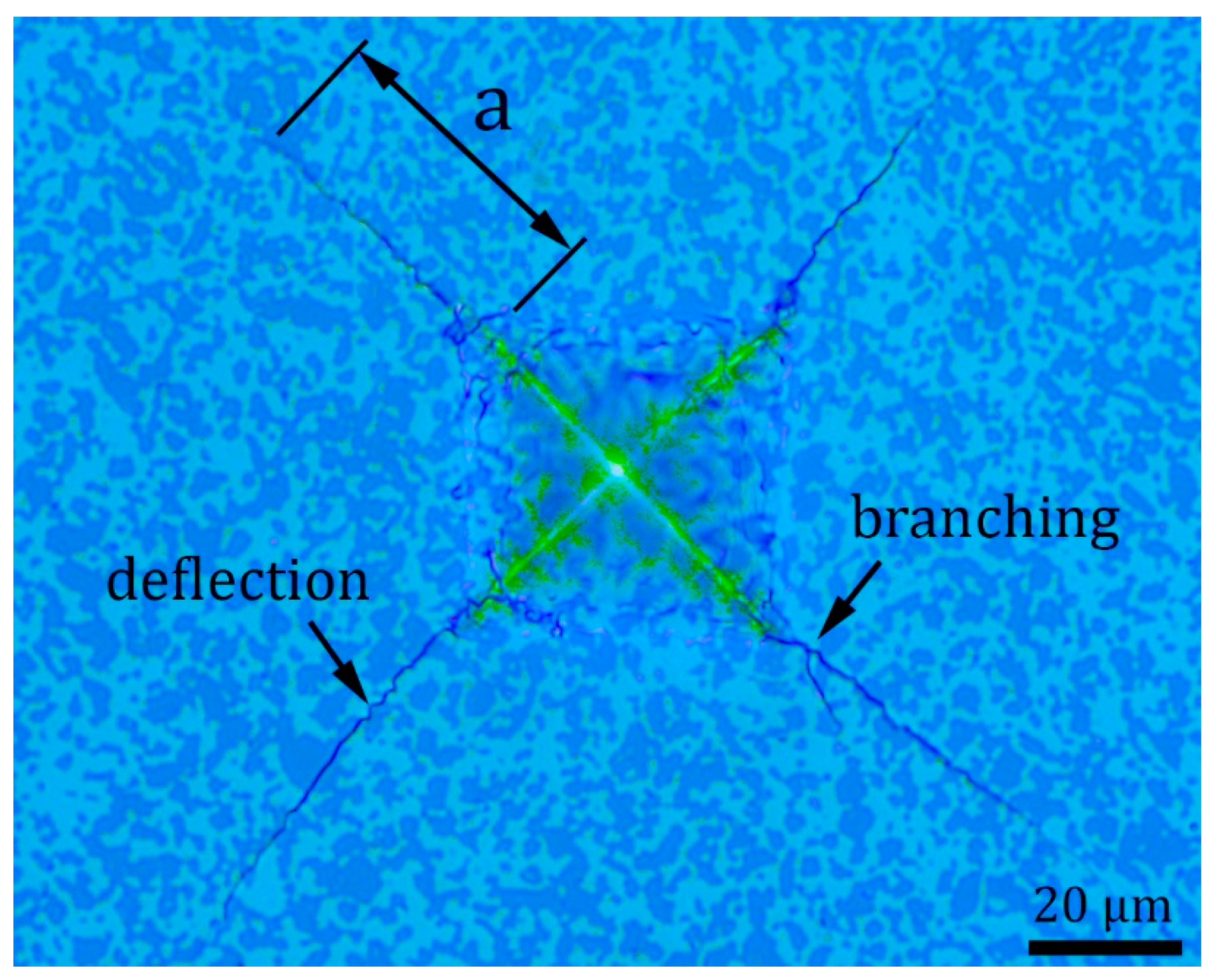 Lubricants 13 00035 g009