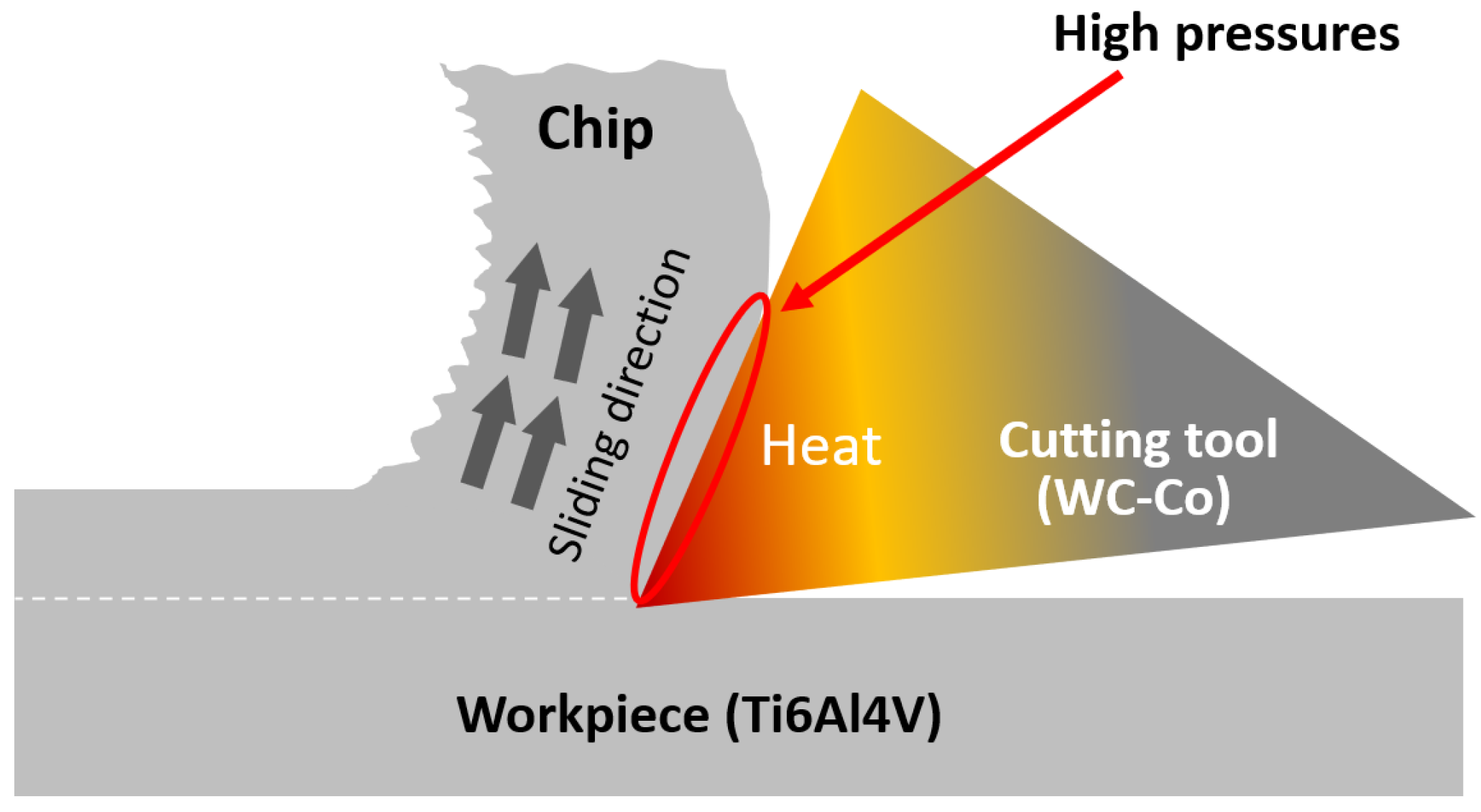 Lubricants 13 00036 g001