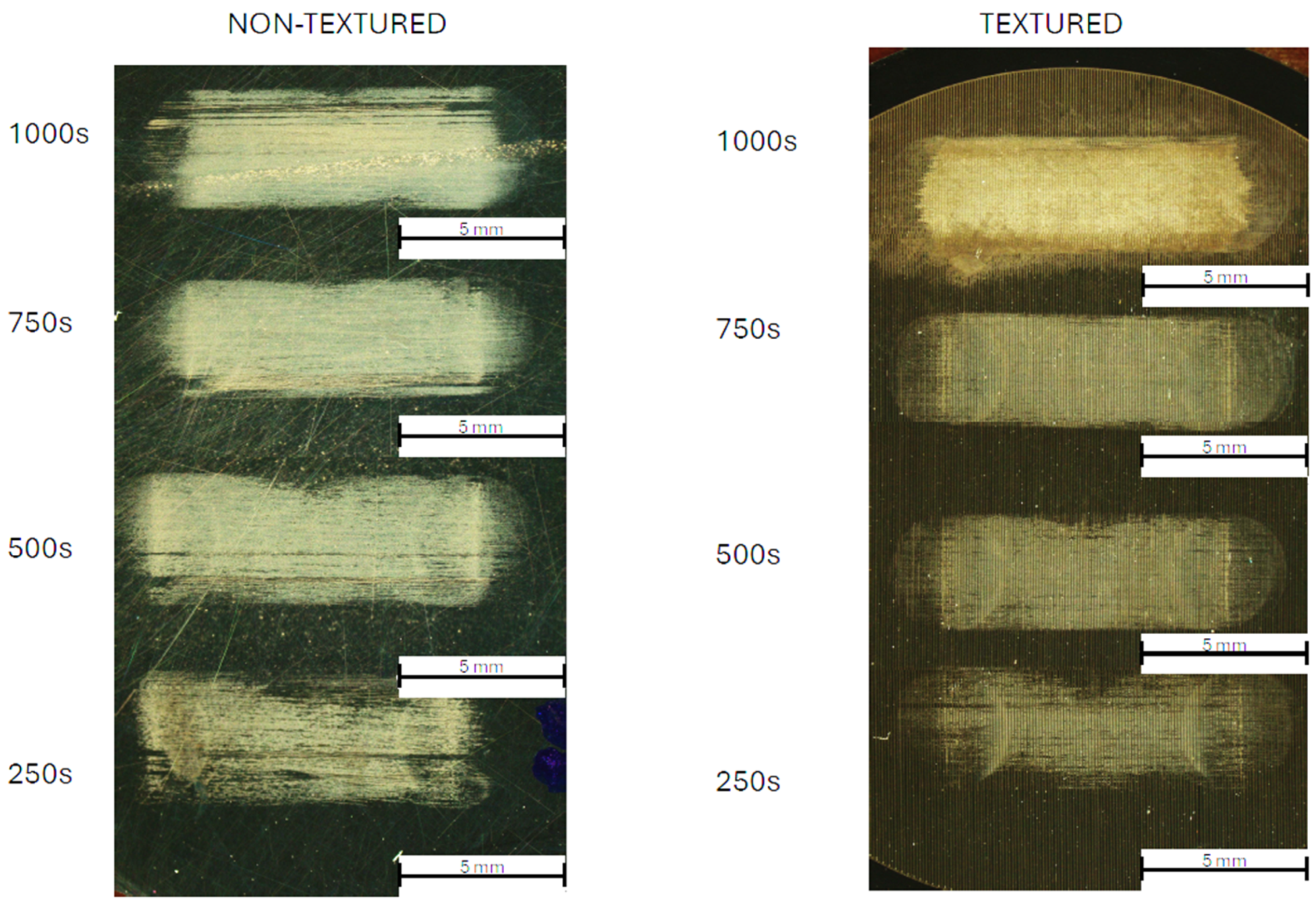 Lubricants 13 00036 g006