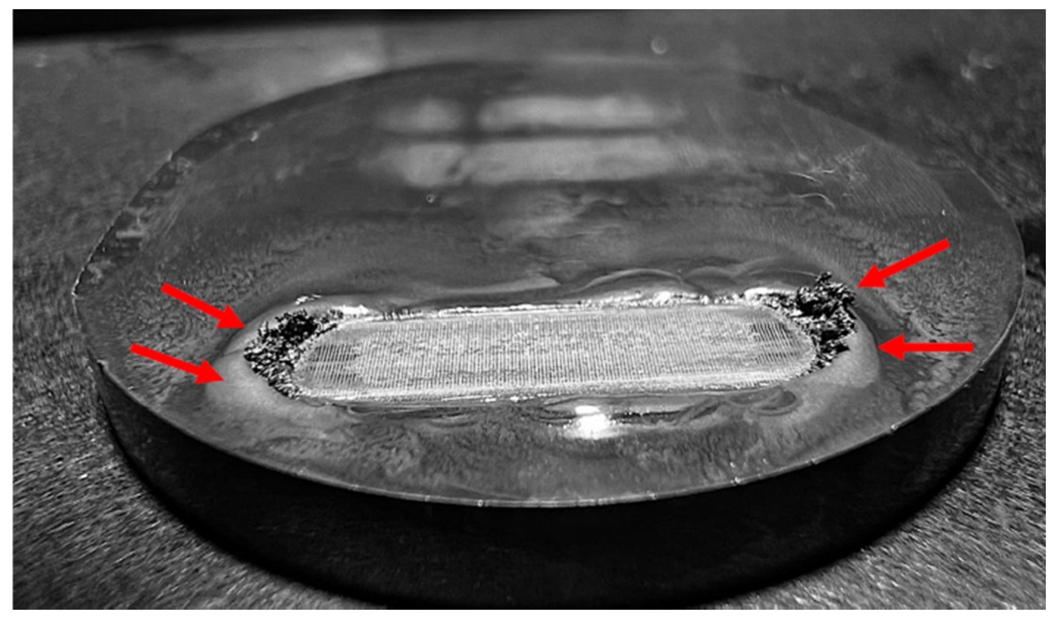 Lubricants 13 00036 g010