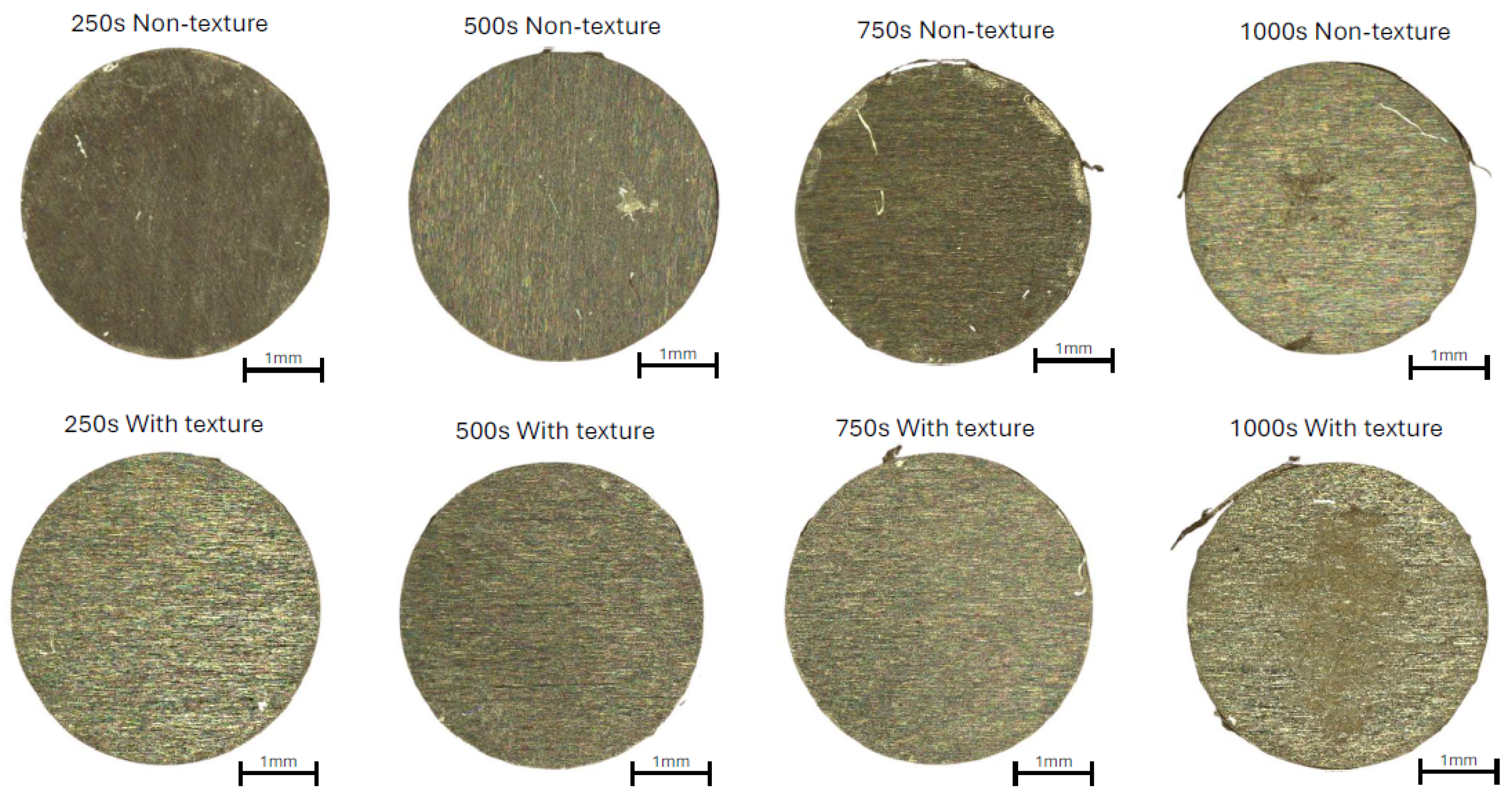 Lubricants 13 00036 g012