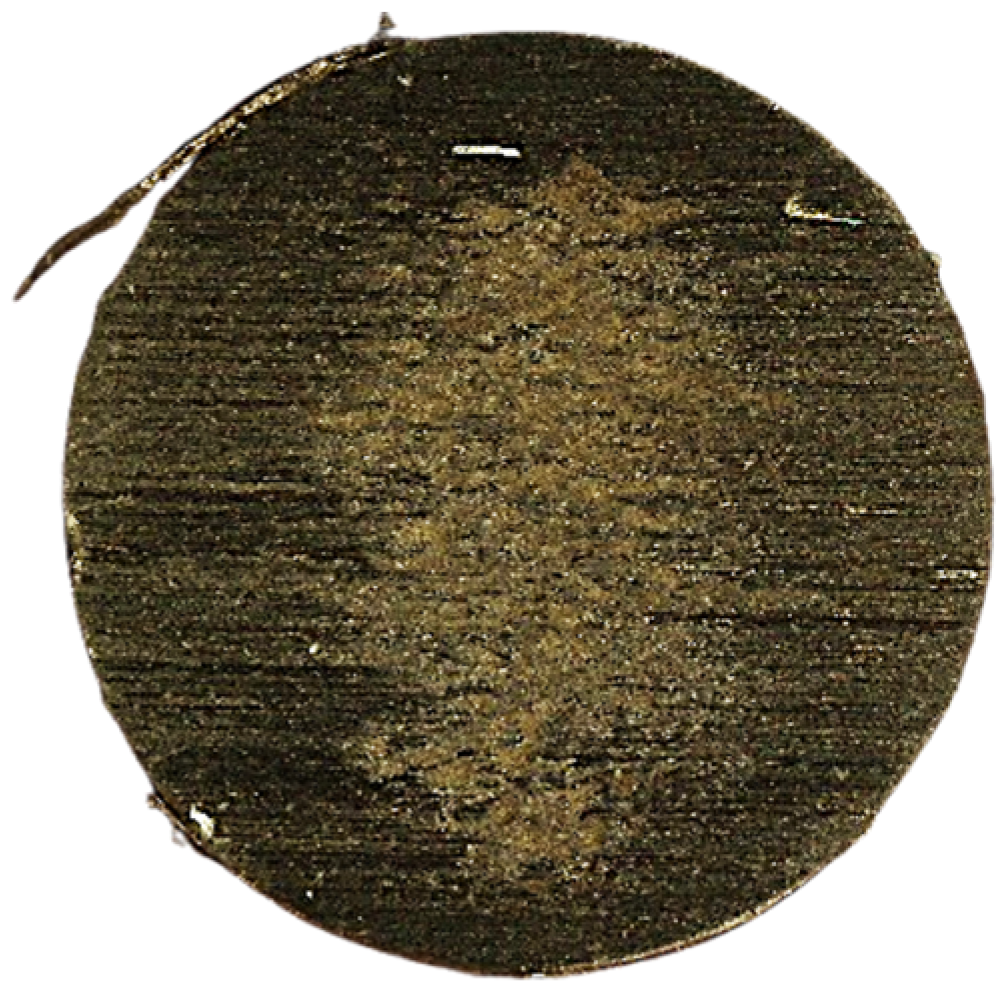 Lubricants 13 00036 g013