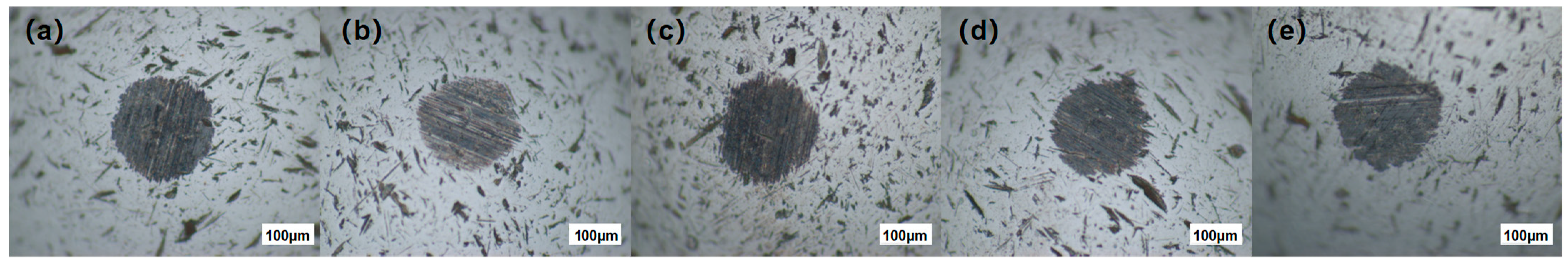 Lubricants 13 00038 g006