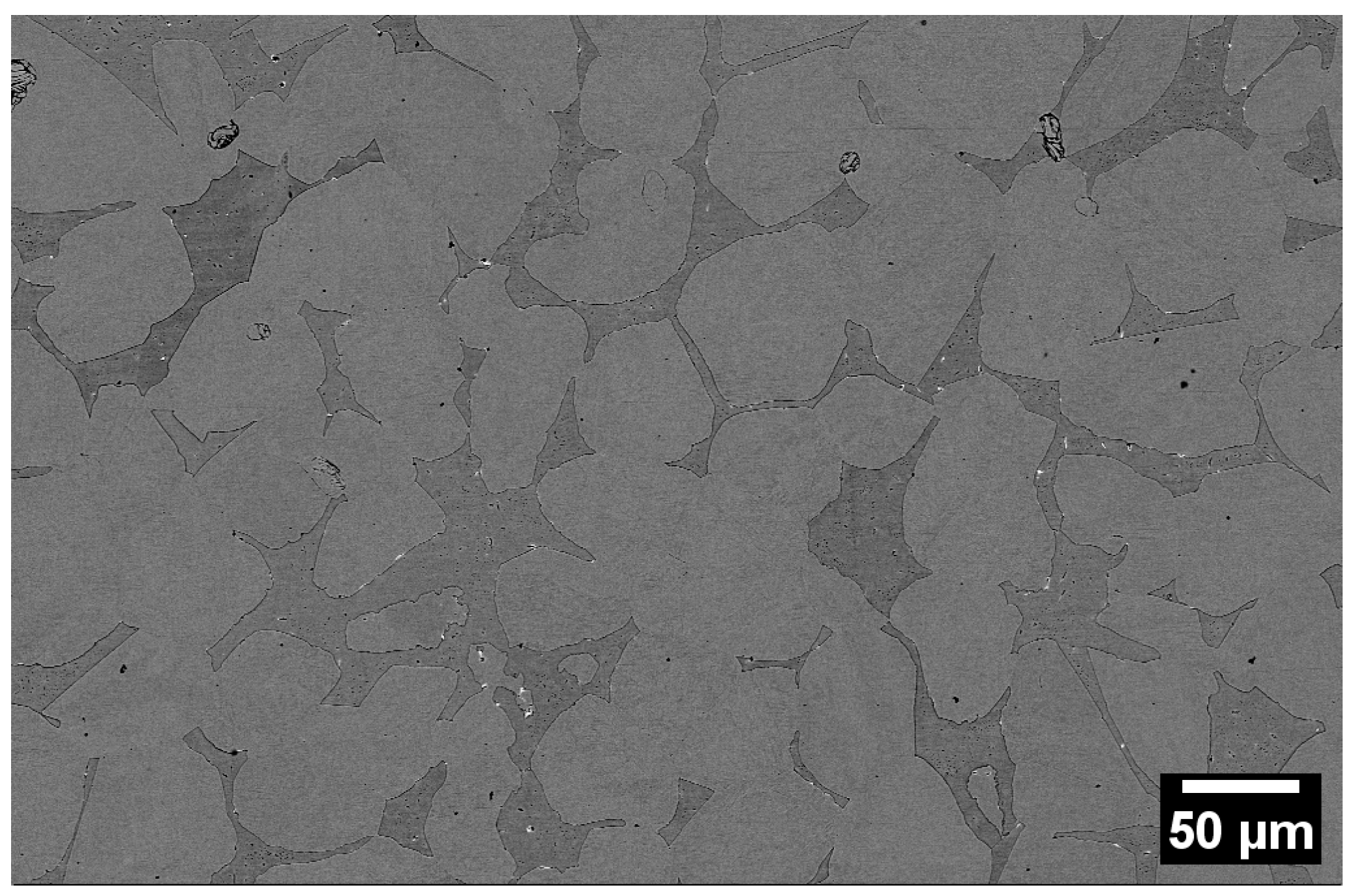 Lubricants 13 00042 g001